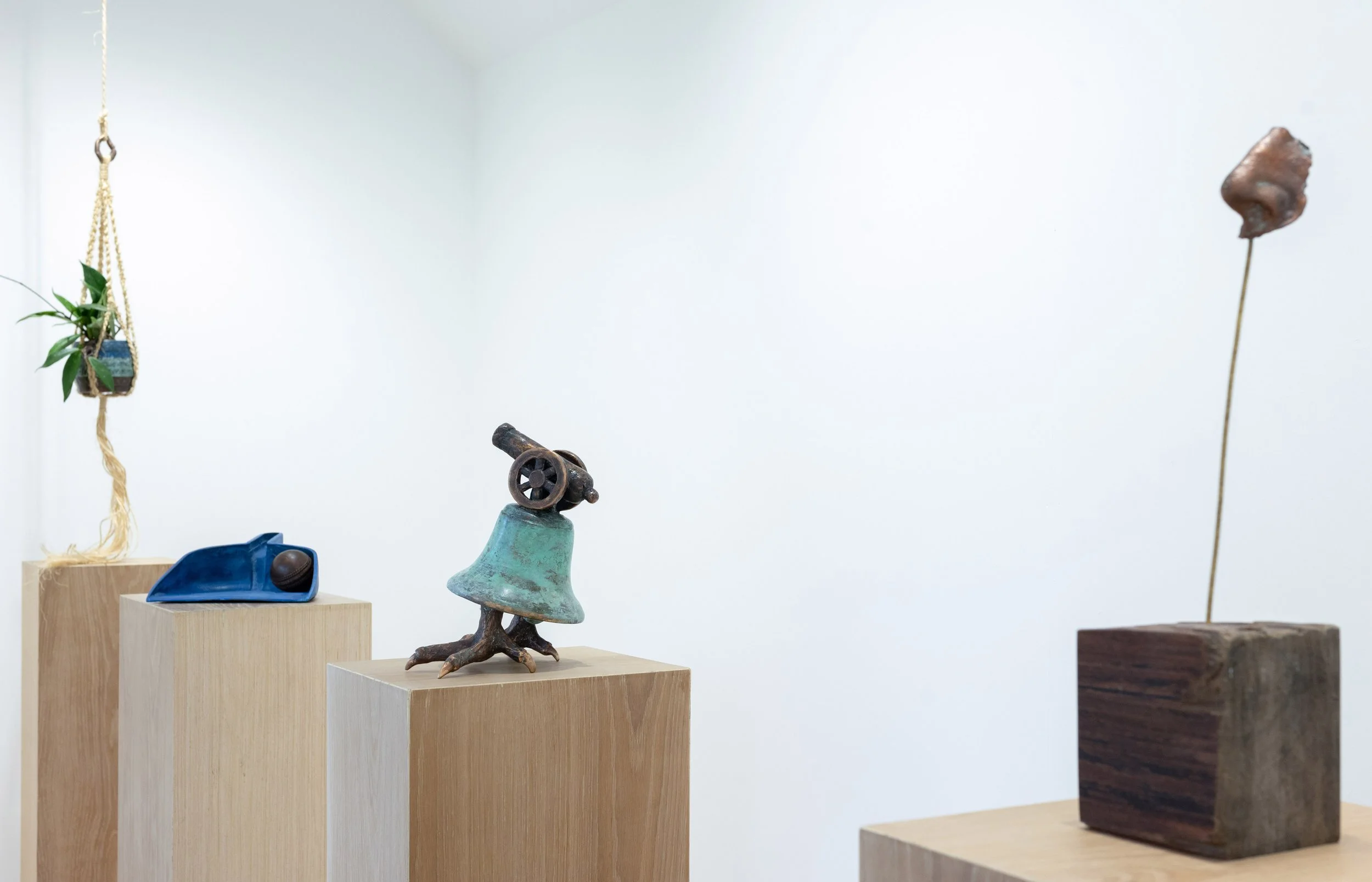 Left to right: dilly-dally, 2025, Bronze, Soil, Hoya, Sisal 1000 x 120 x 120 mm, In a Silent Way, 2025, Bronze 95 x 245 x 300 mm, Red Carnation / Glasgow Street, 2025, Bronze 225 x 225 x 165 mm, The Artist’s Nose, 2023, 400 x 102 x 96 mm Bronze o