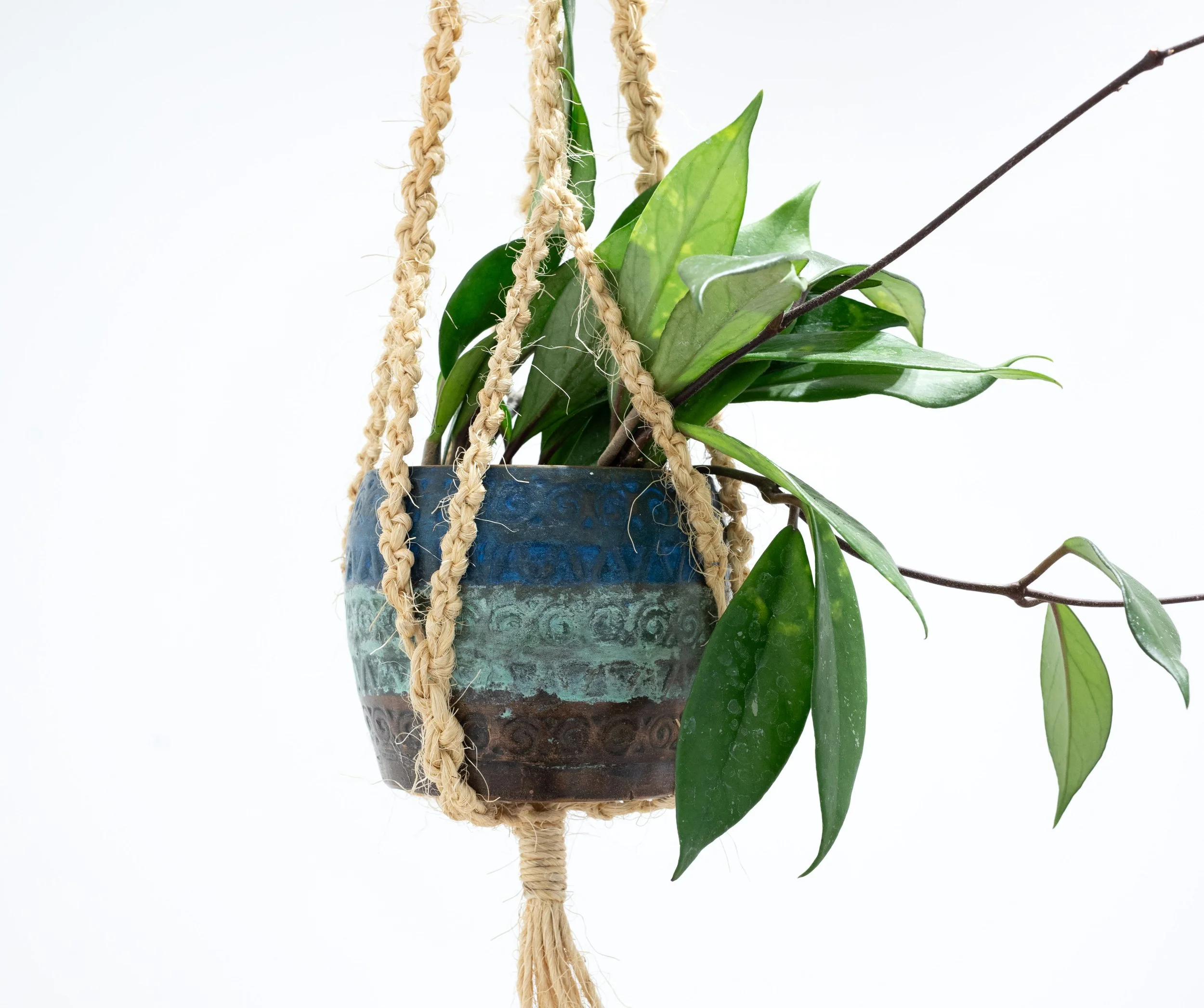 dilly-dally, 2025, Bronze, Soil, Hoya, Sisal 1000 x 120 x 120 mm
Photo credit Marc Blake