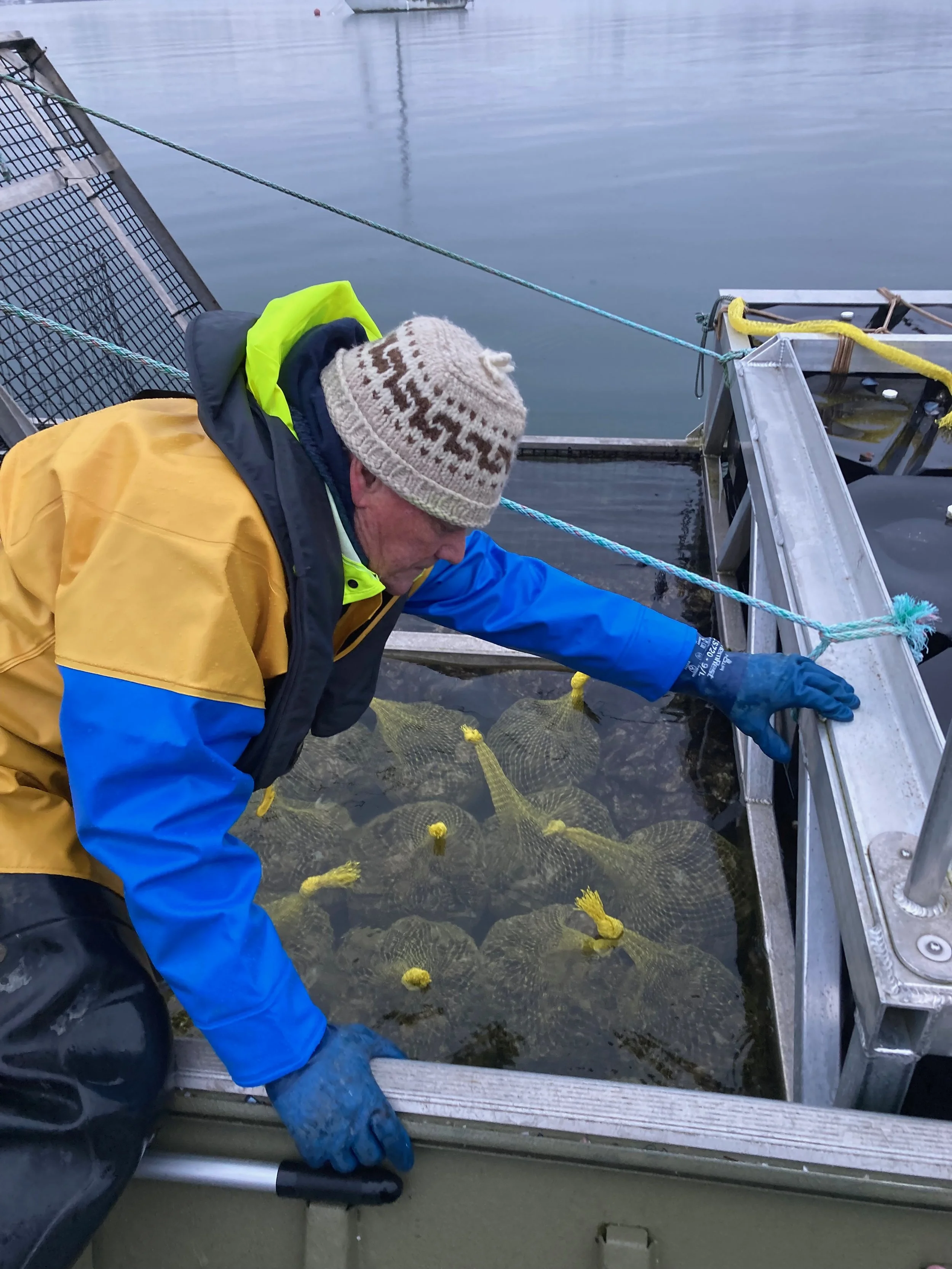 Duane & Harvest Frame.jpeg