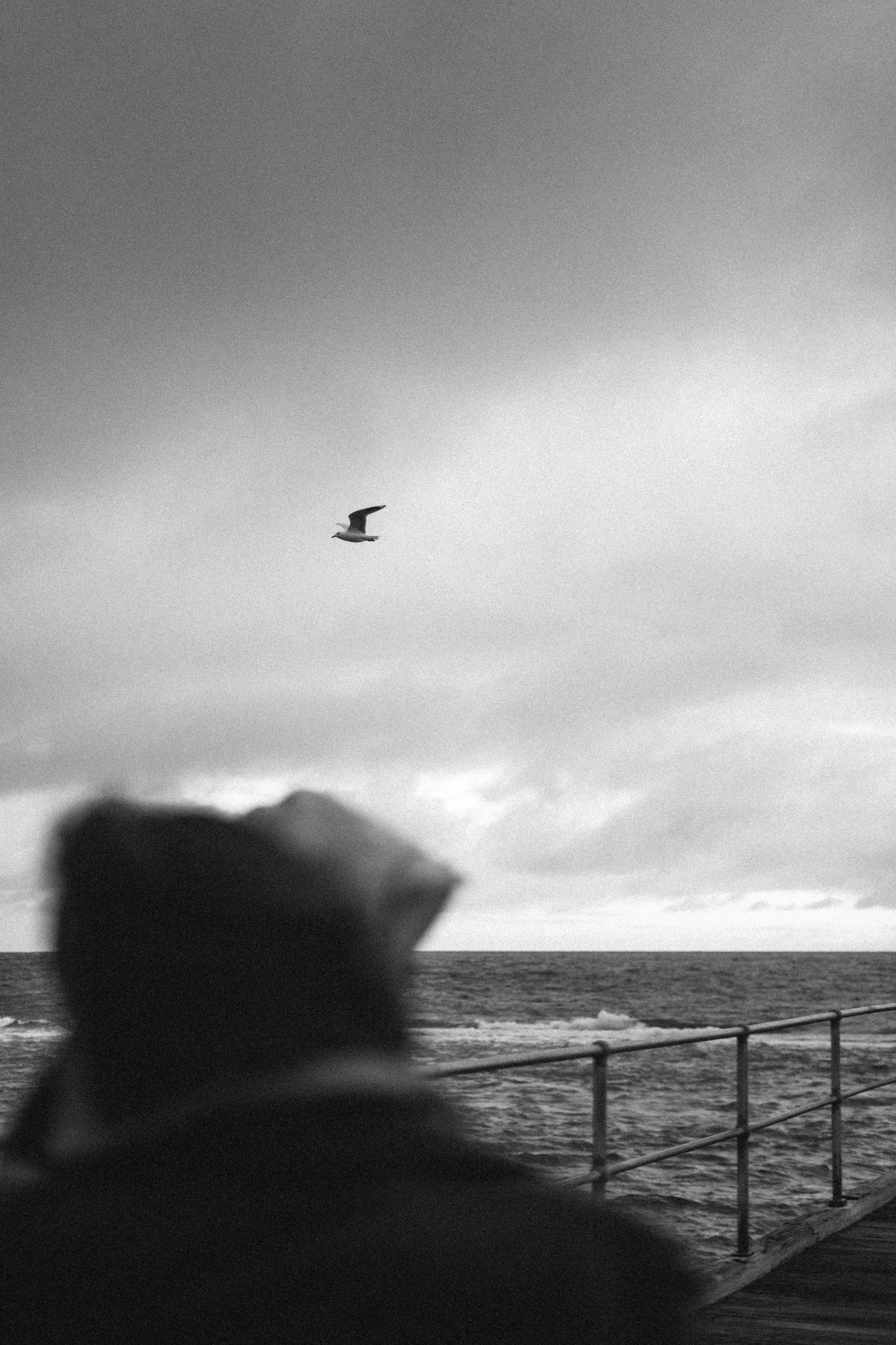 Black and white photo of a person wearing a hoodie, looking out over a railing at the ocean with a seagull flying in the sky.