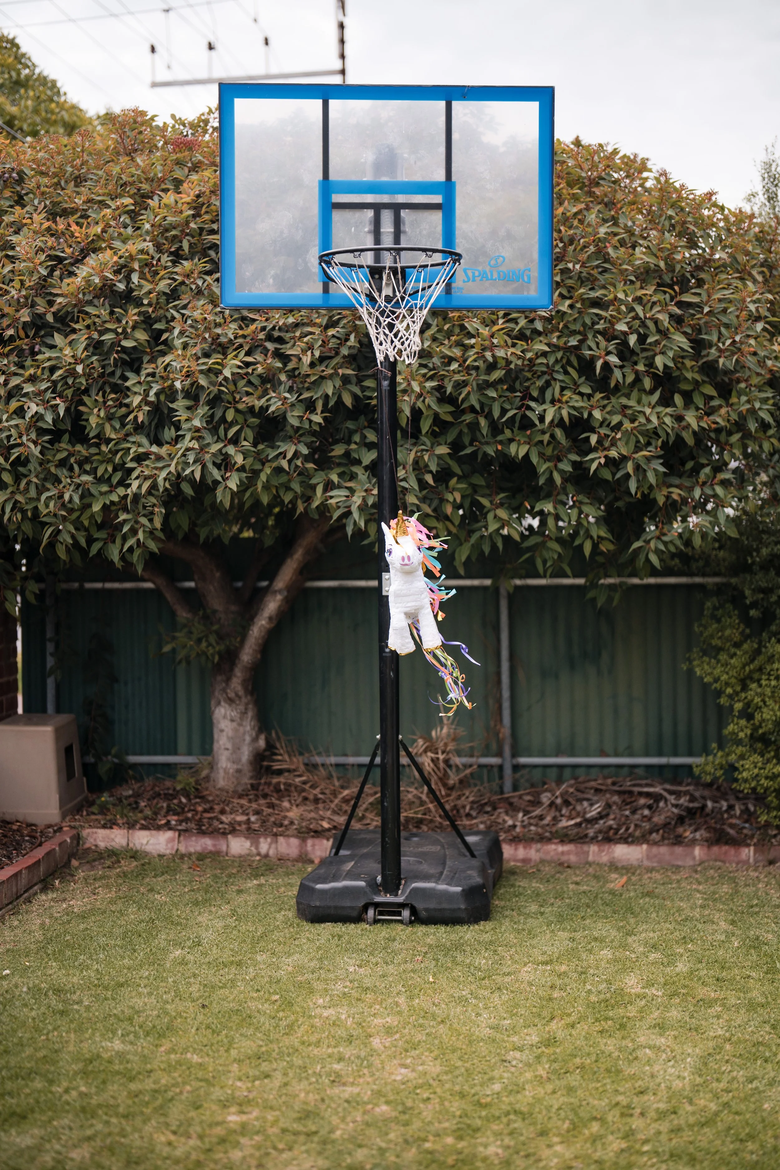 An outdoor basketball hoop with a llama piñata hanging from the rim, set on a grassy yard with trees and a green fence in the background.