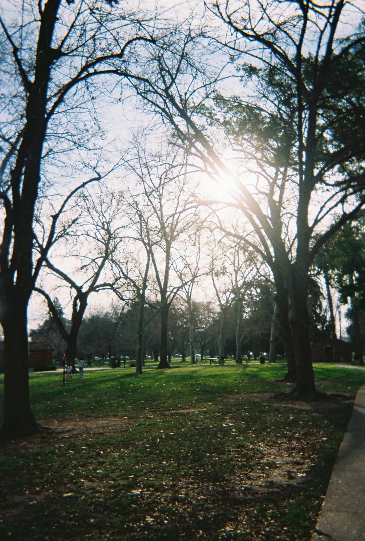 R1-03349-0026.JPG