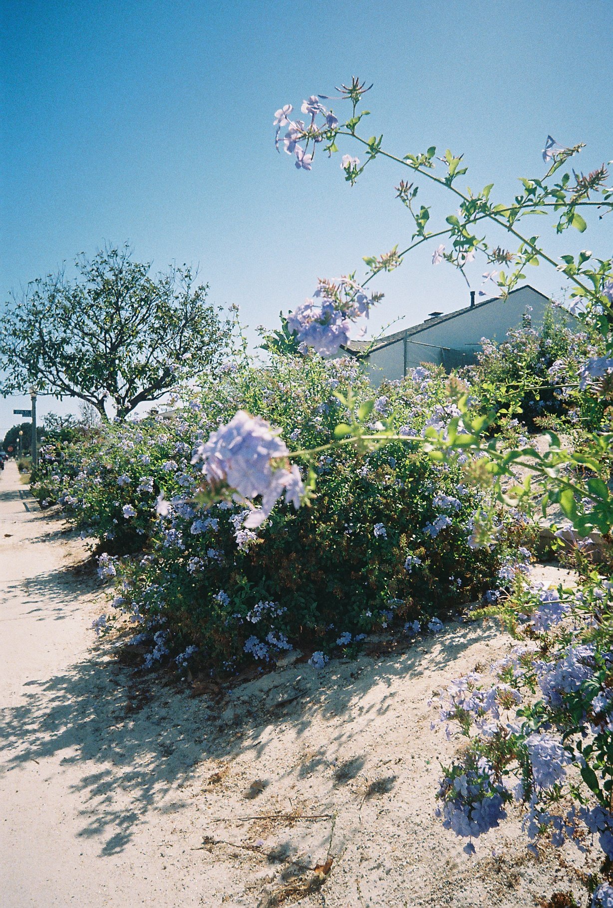 R1-08466-0009.JPG
