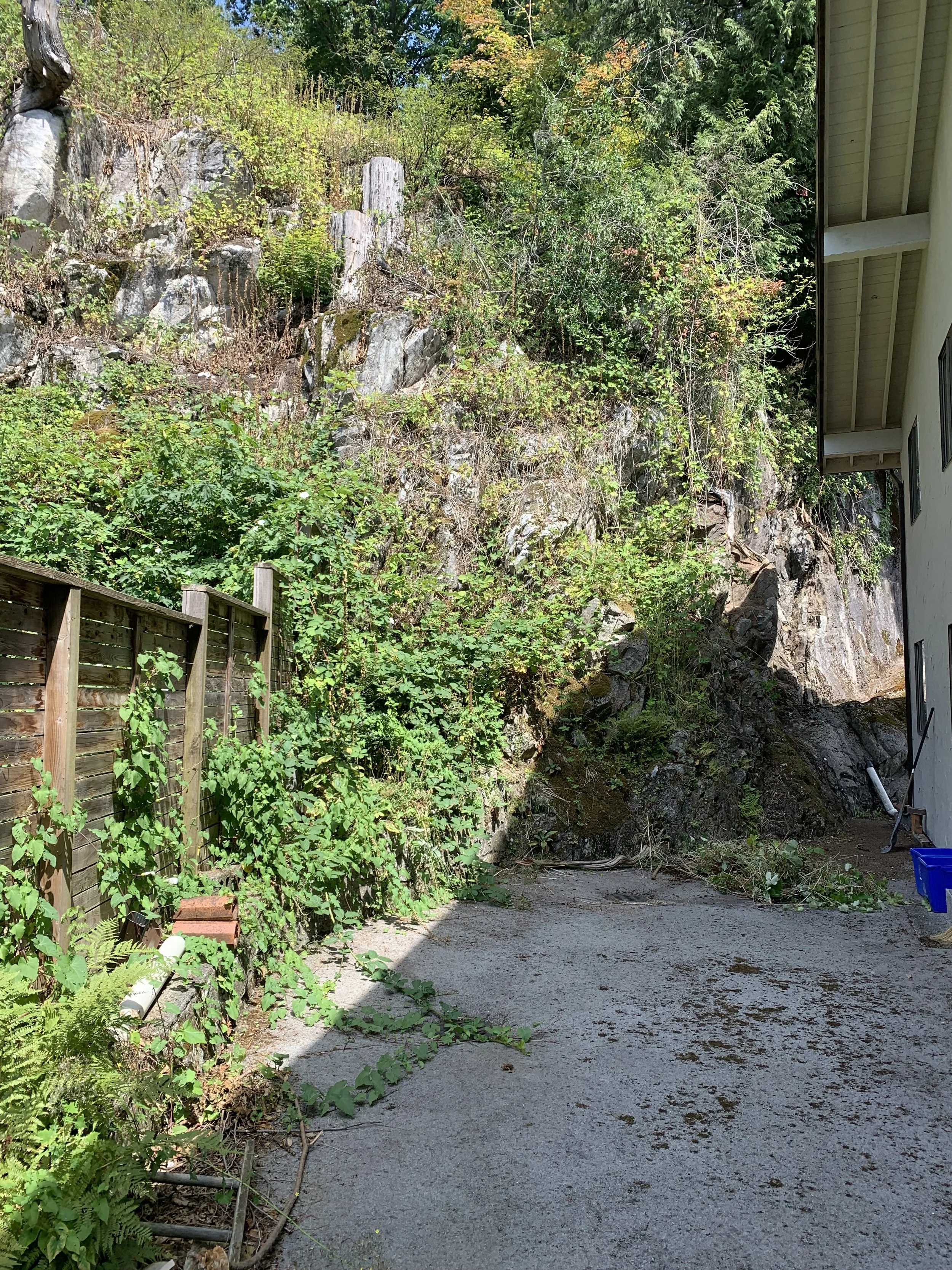 Weeding and mulching