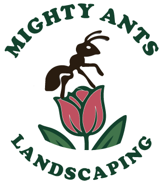 Mighty Ants