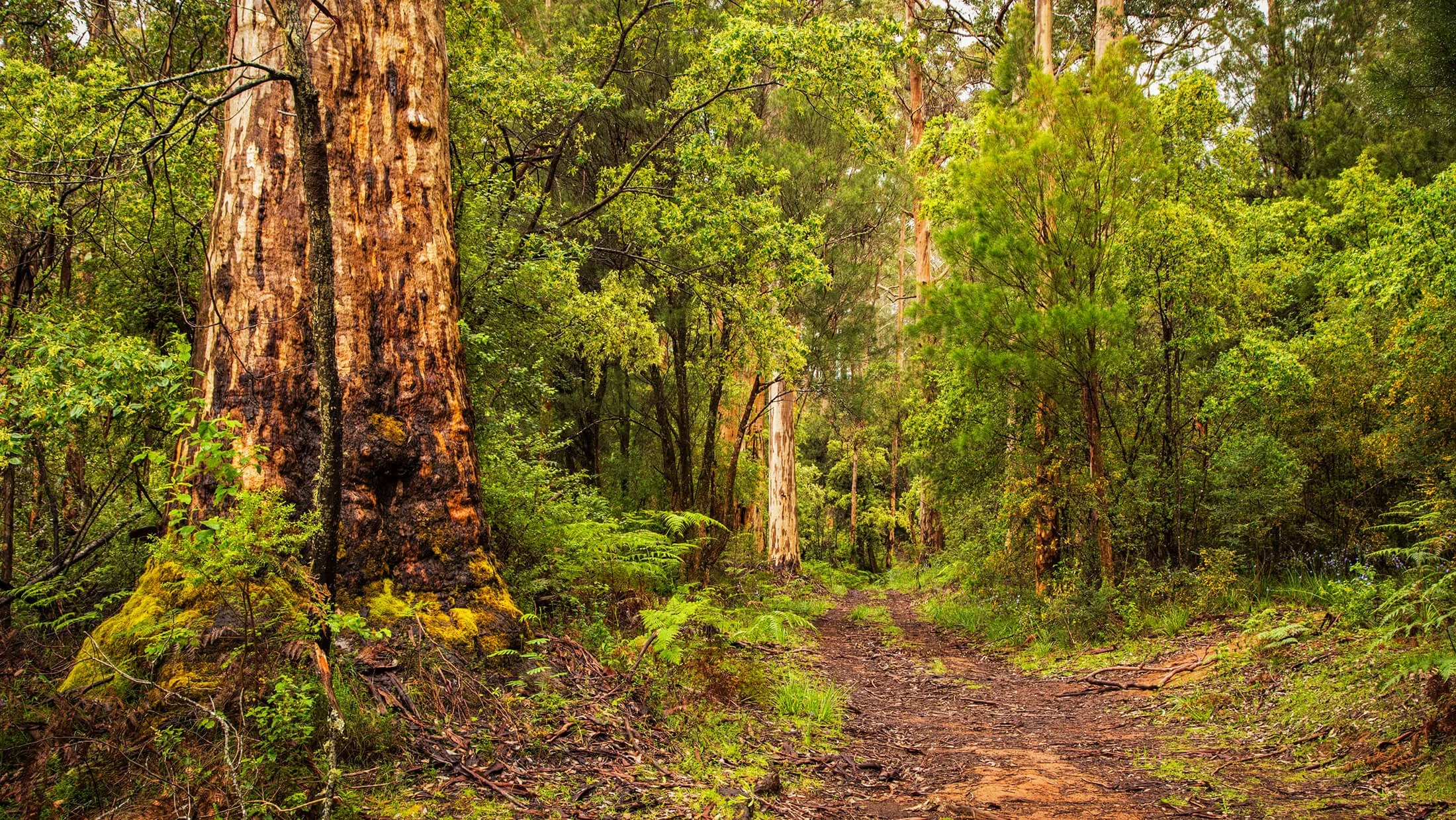 Pemberton Gifts Blog | Ideas, Tips & Local Stories — Treasures in the ...