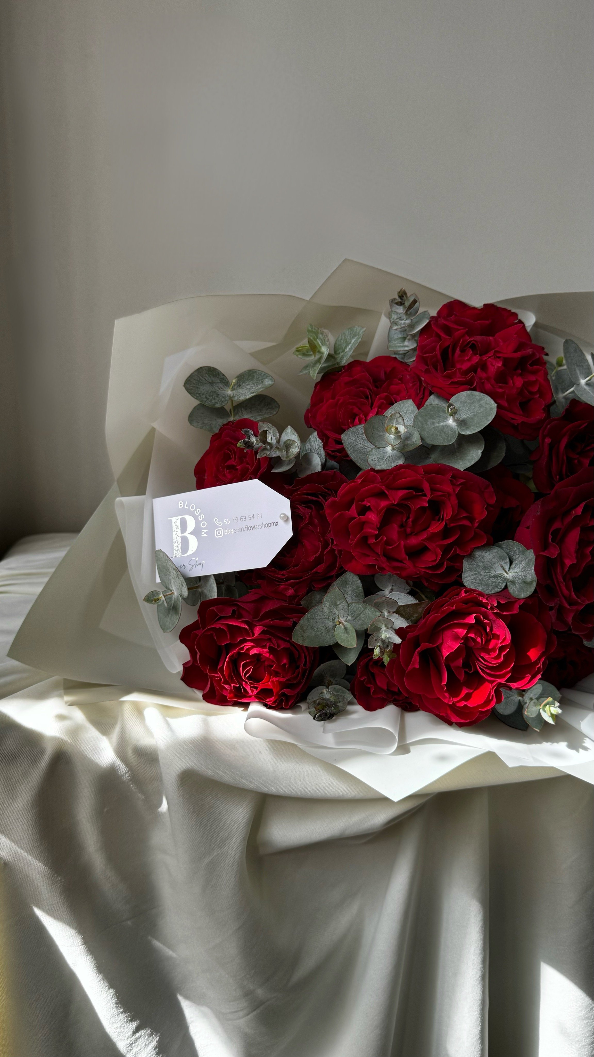 IMG_104003%E2%80%AFa.m._0_VSCO 2.jpeg