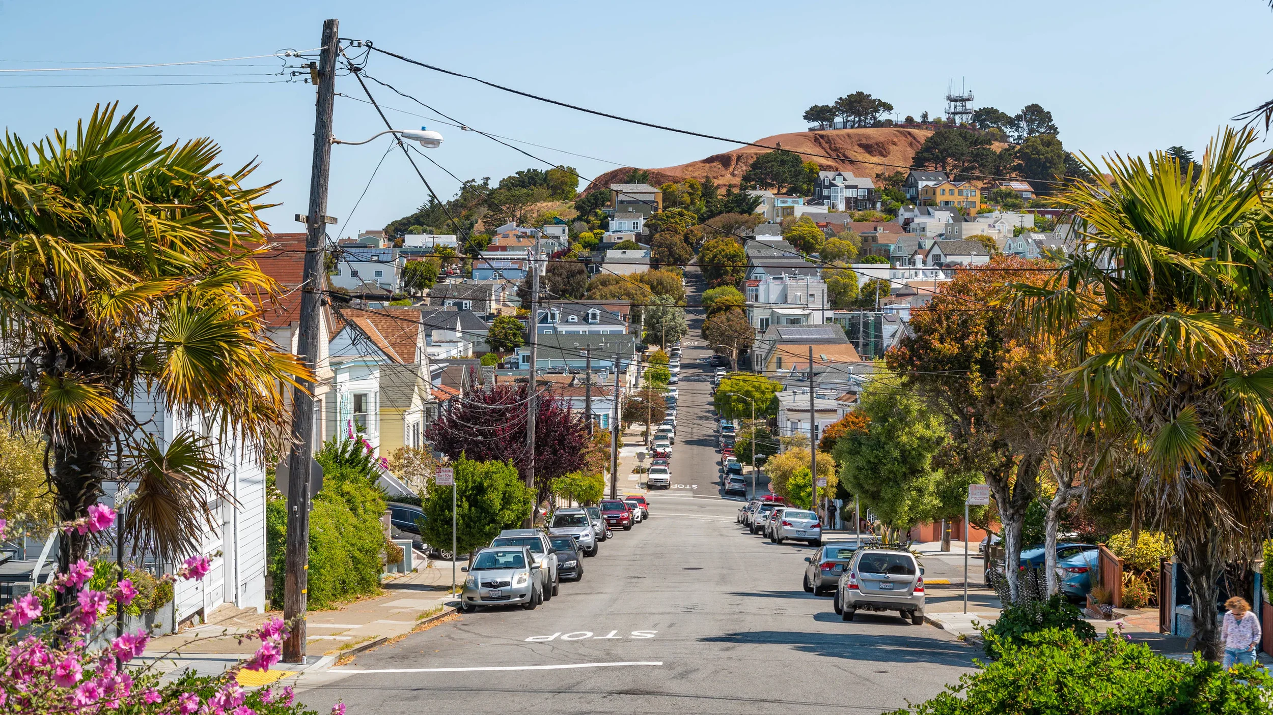 A steep residential street in San Francisco with parked cars, colorful houses, lush trees, palm trees, and power lines, with a hillside in the background.