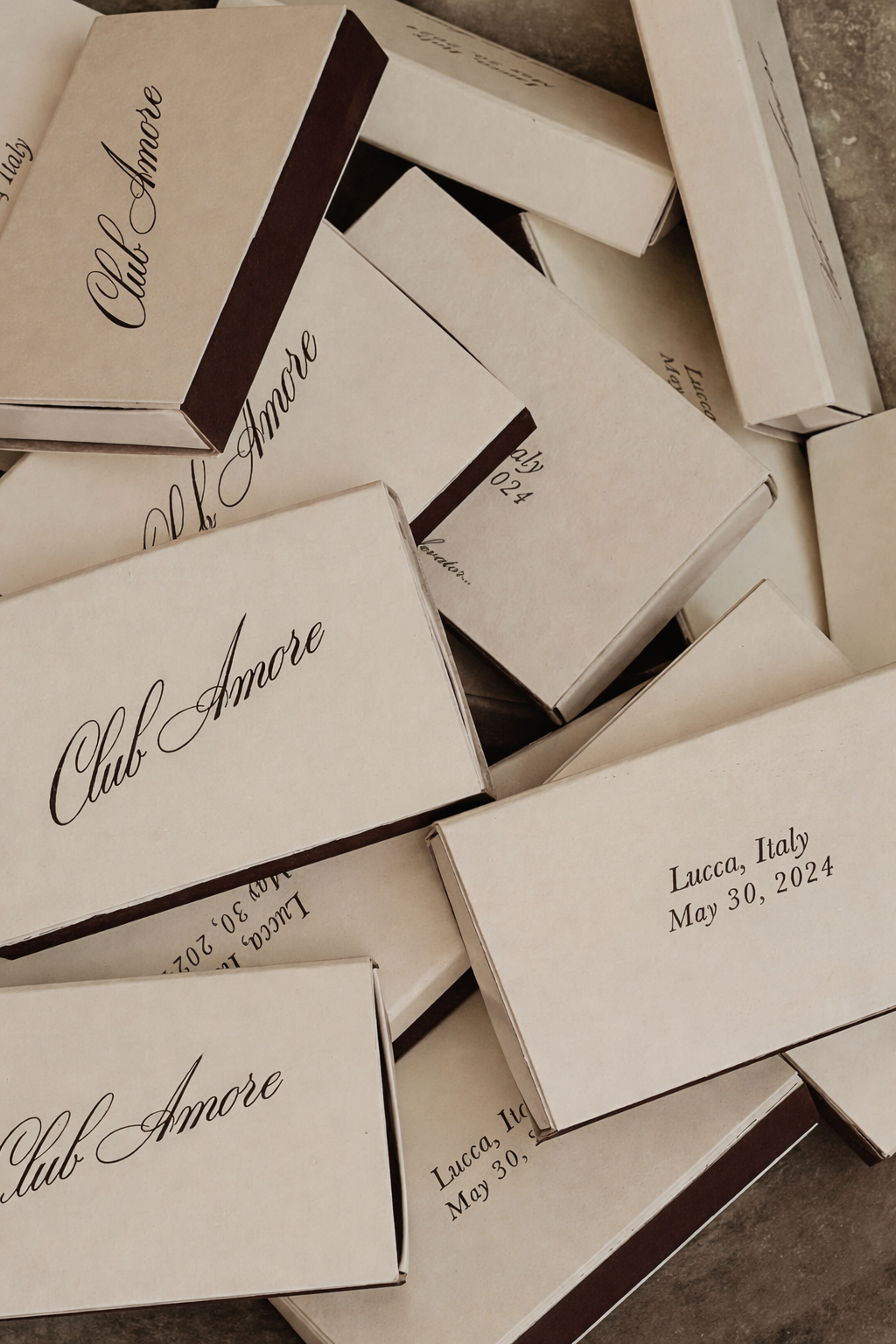 ChatGPT Image Feb 13, 2026, 02_41_14 PM.png