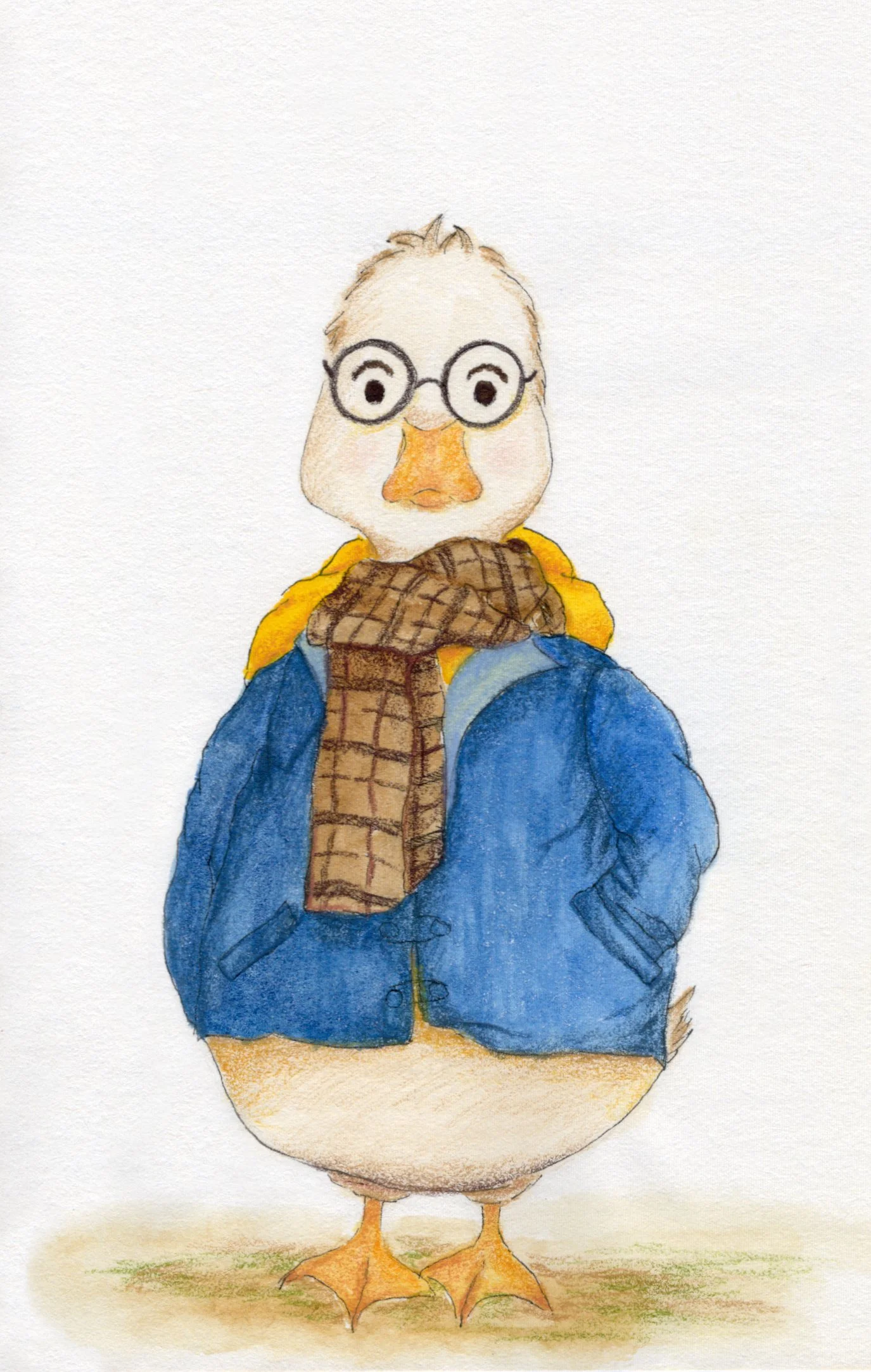 Duck with Blue Jacket