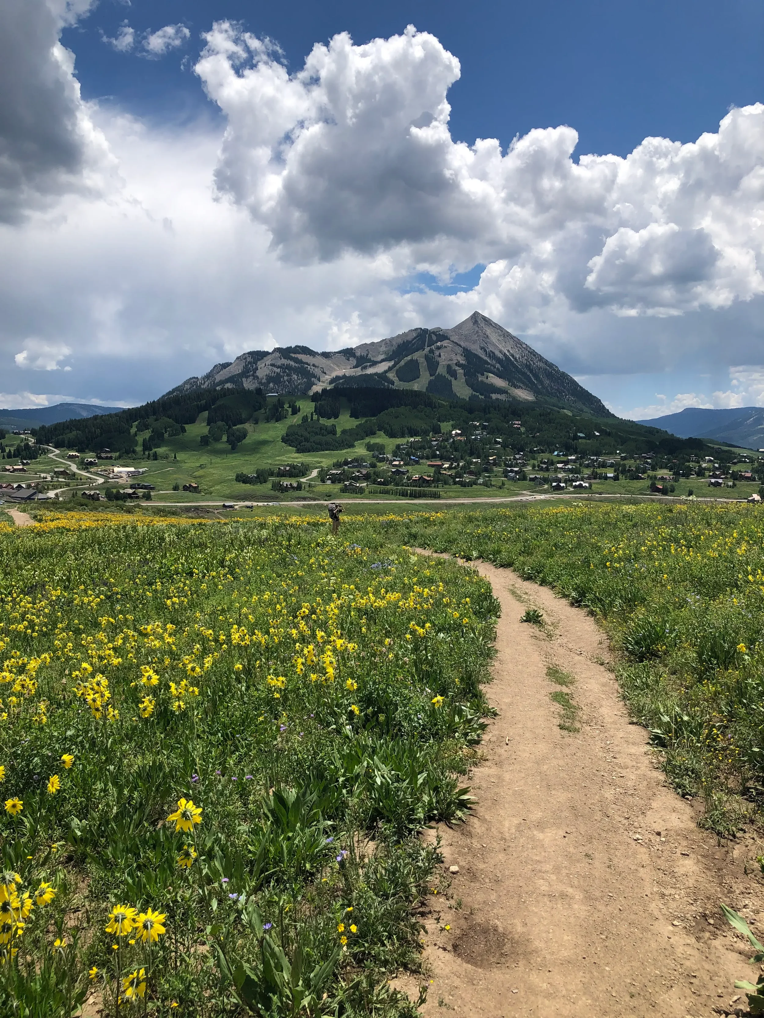 A dirt path through a field of yellow wildflowers leads to a small town and mountain in the background with partly cloudy skies.