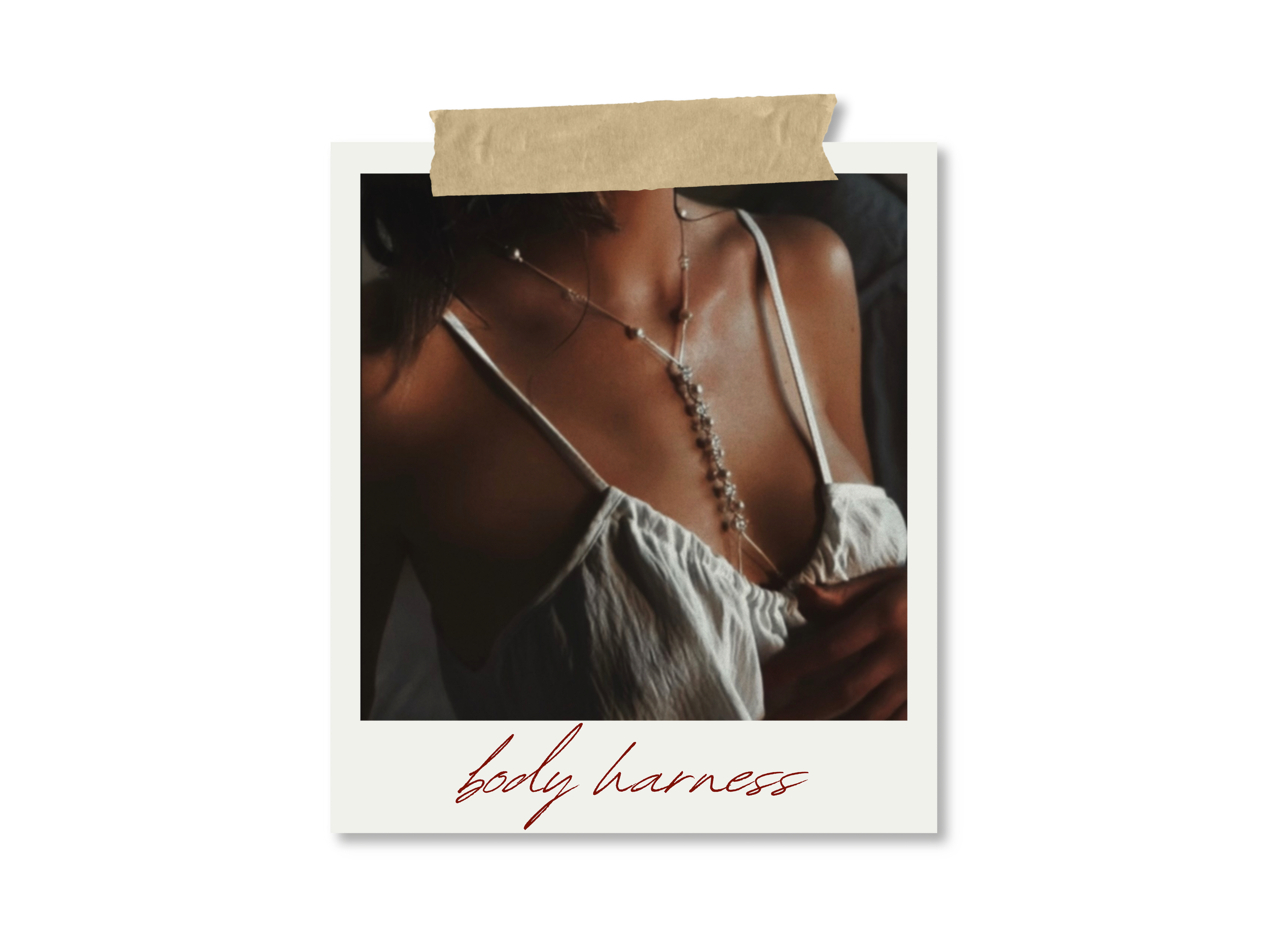 Body Harness
