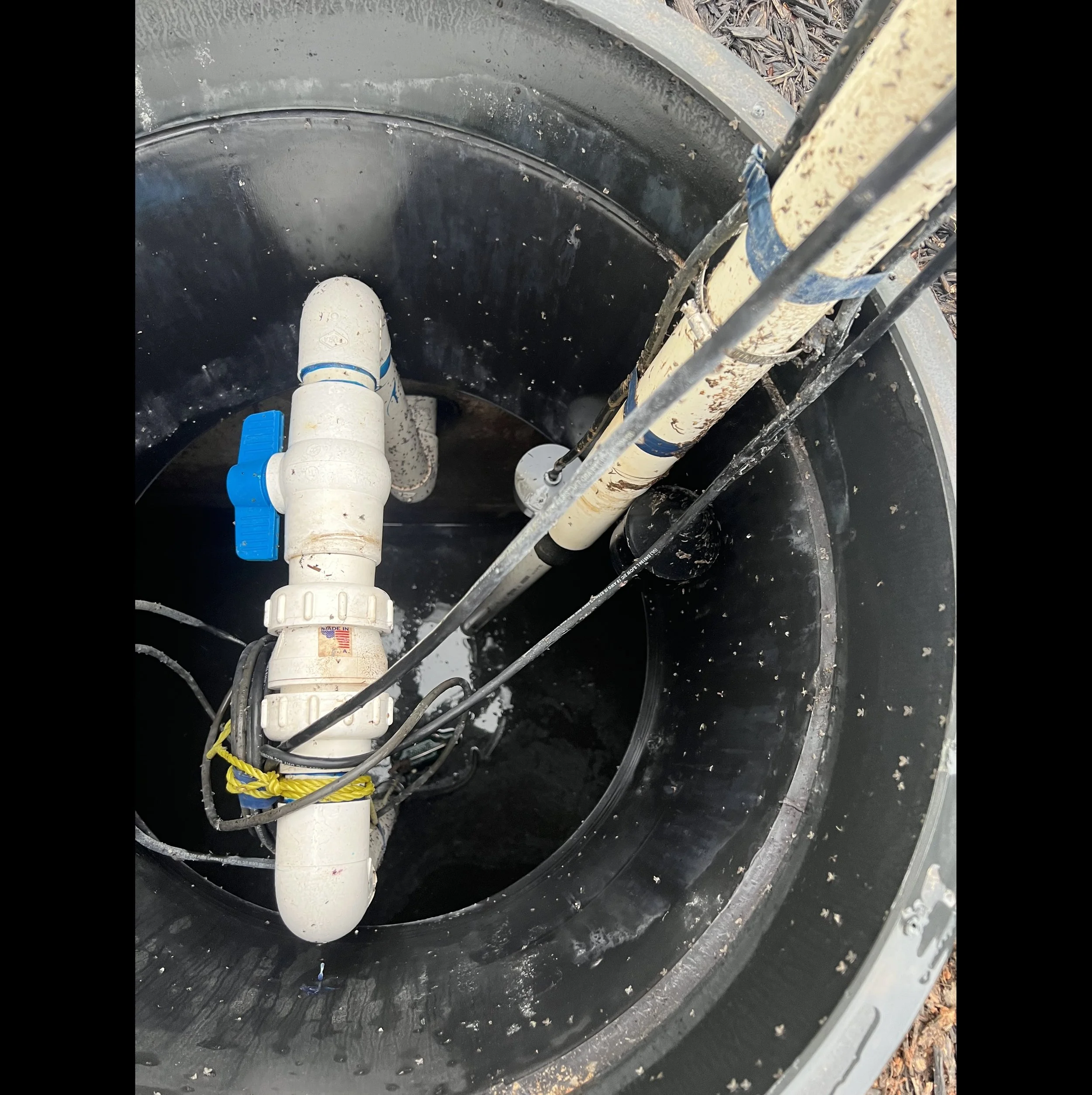 Safer Septic Quick Service Request — Safer Septic