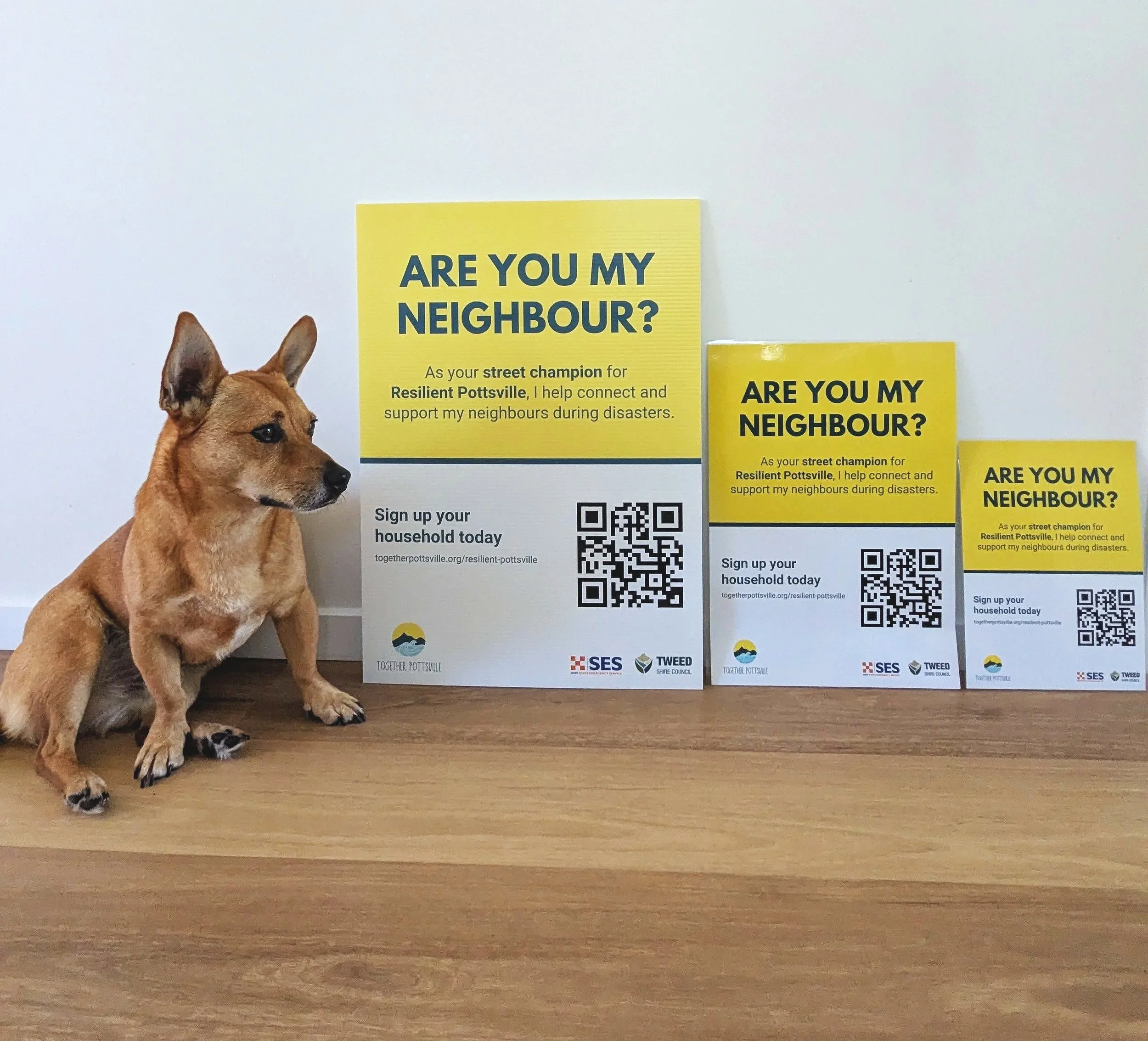 Resilient Pottsville: new name, more resources, same community spirit!