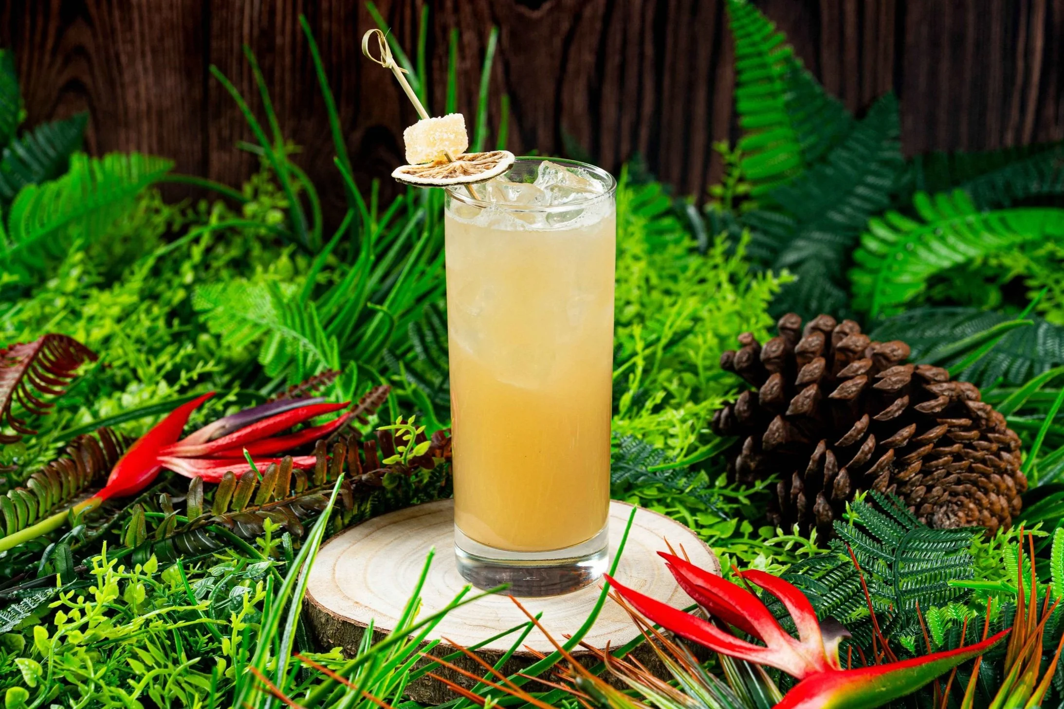 A tropical-style cocktail in a tall glass garnished with dried citrus slices and sugar cubes, set on a wooden slice surrounded by lush green plants and a pinecone.
