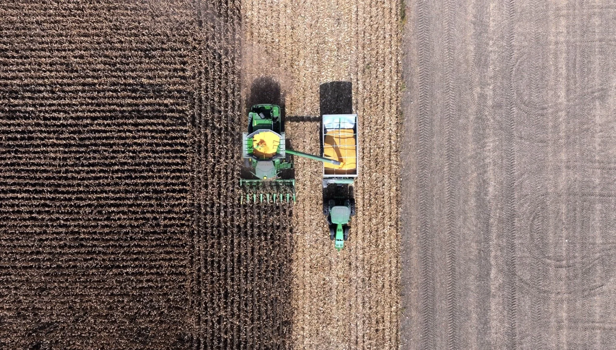 harvest farming