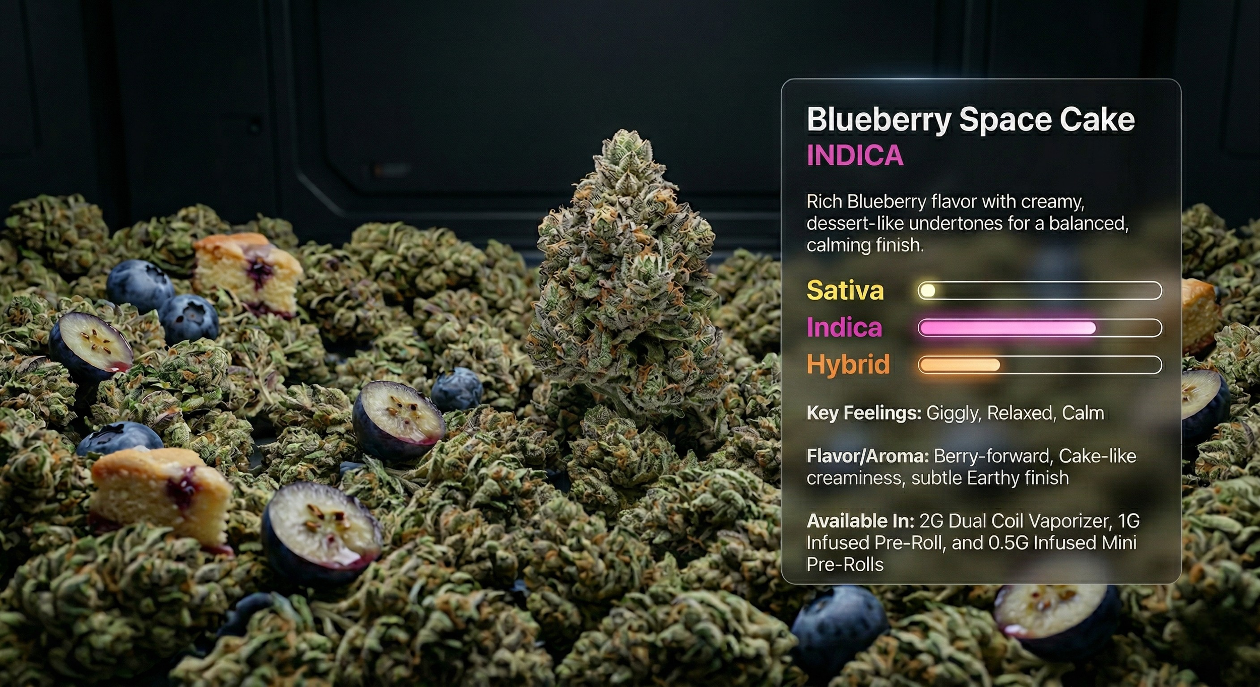 Close-up of blueberry space cake cannabis buds and blueberries with a digital overlay description of the product, including flavor profile, key feelings, and available quantities.