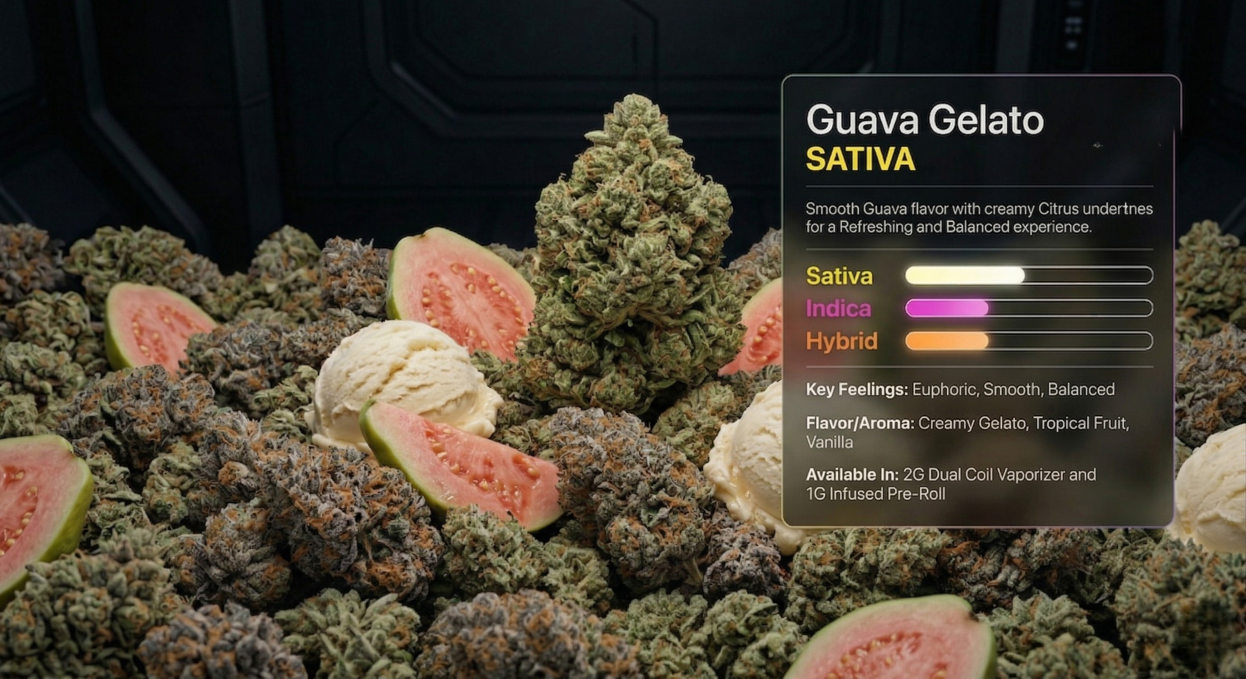 Display of Guava Gelato cannabis strain with buds, guava slices, and ice cream, with informational overlay about the strain's effects, flavor, and availability.