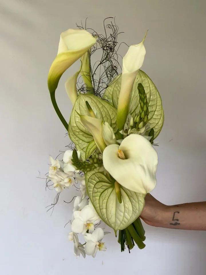 For the bridal goddess that was of course, Linda 🤍

Featuring miniature phalaenopsis orchids, arum lilies, anthuriums, chinchirinchees + goanna claw grass ➰

@mondriangoldcoast 
@houseofchapters_
