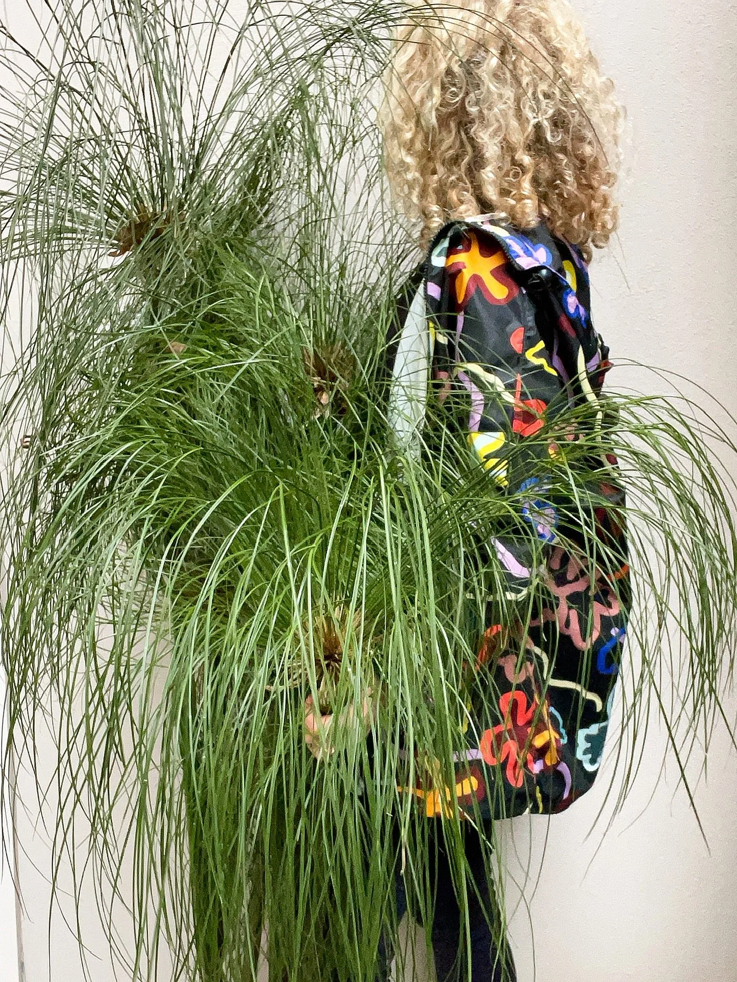 Wishing everyone a very Merry Christmas! May you spend quality time with your nearest and dearest, and have the opportunity to recharge.

I want to thank everyone for their unwavering support. 2025 has seen great change for Wildplay Flora with the ad