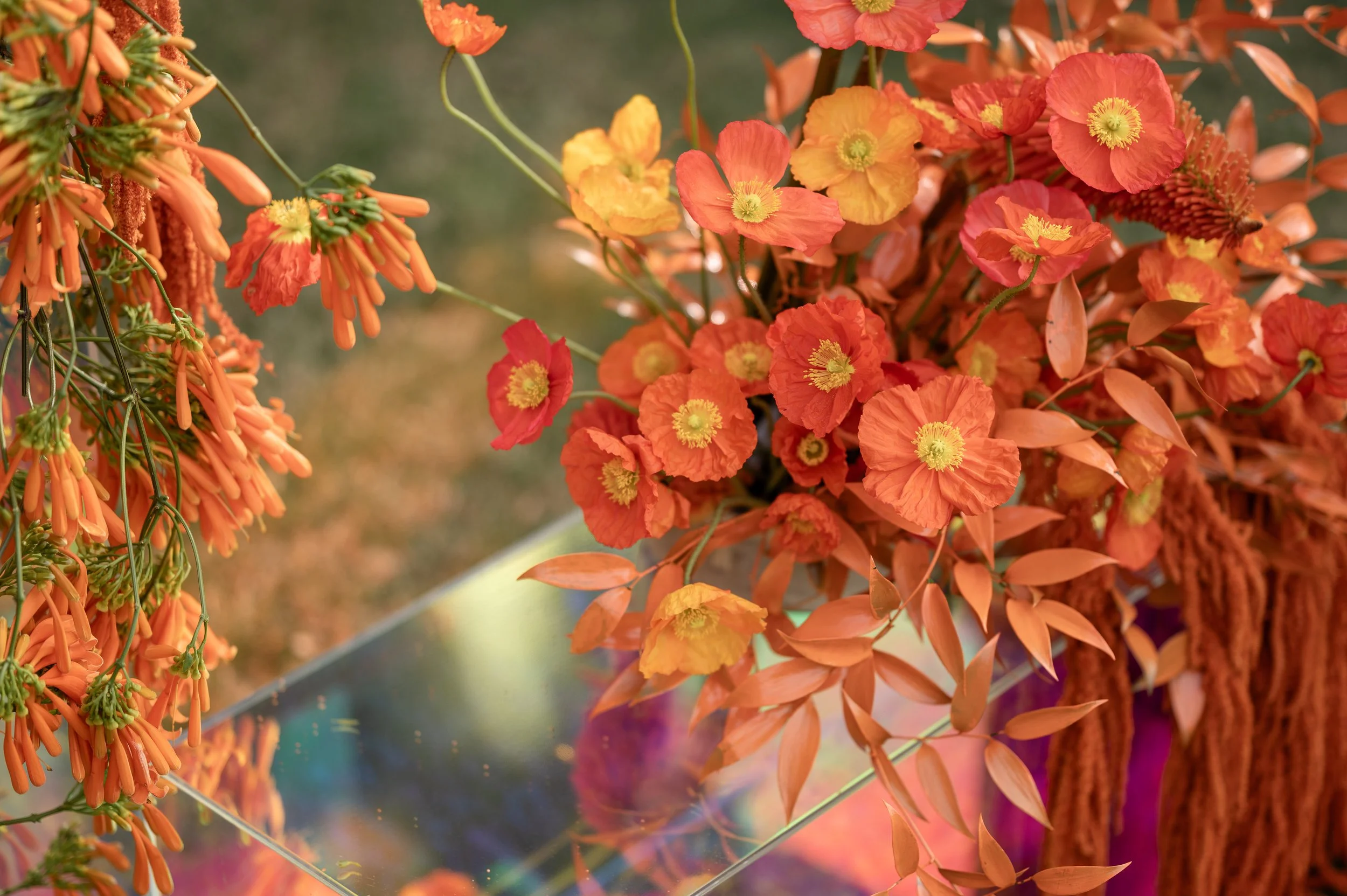 Miriam & Shanoon (161 of 790).jpg