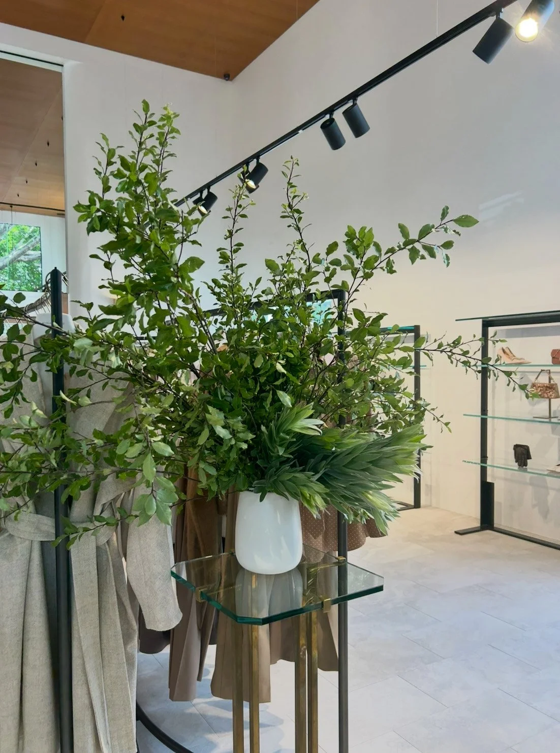 Scanlan Theodore.jpeg