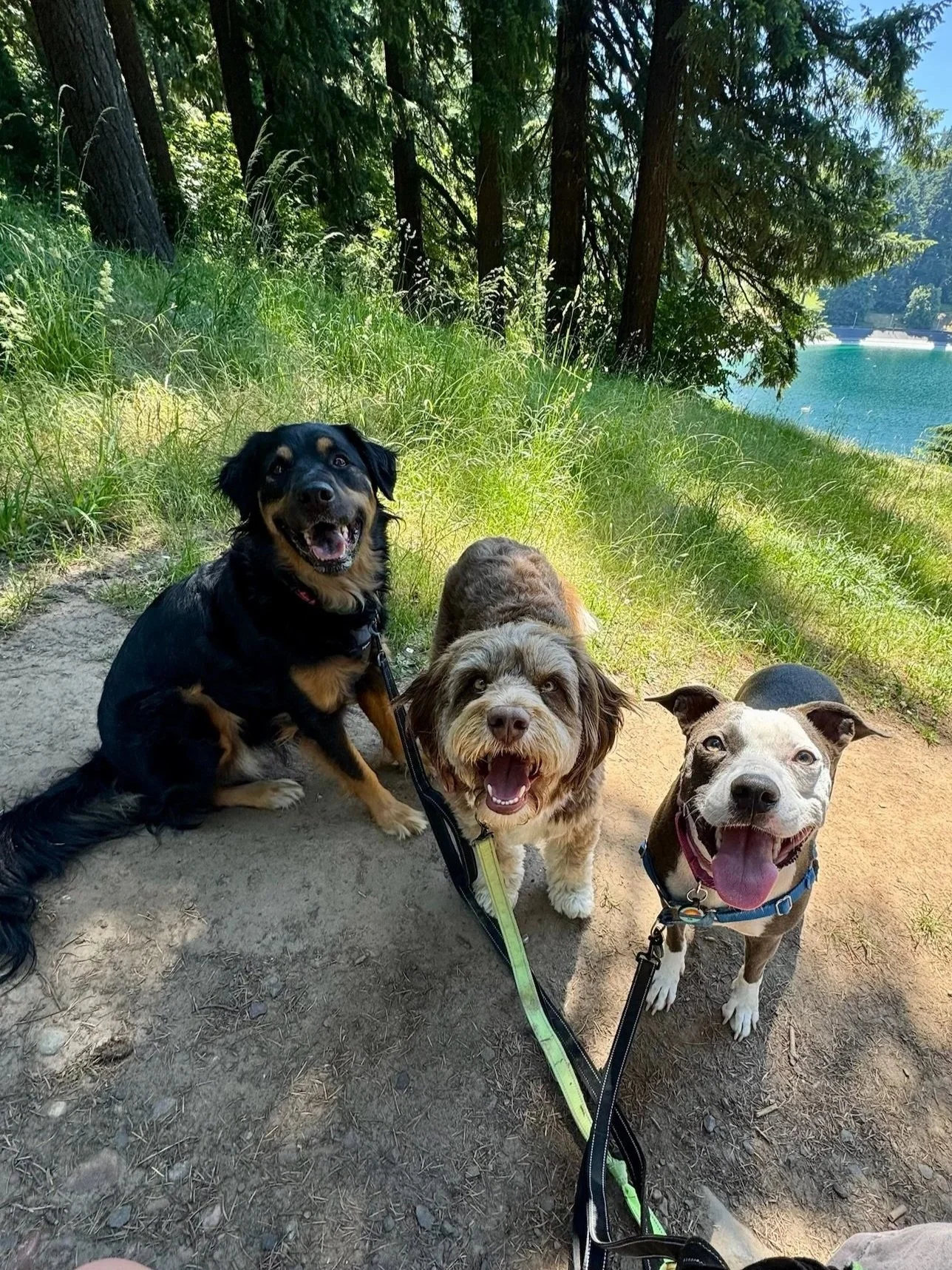 Surfs Pup - 1 of 3.jpg