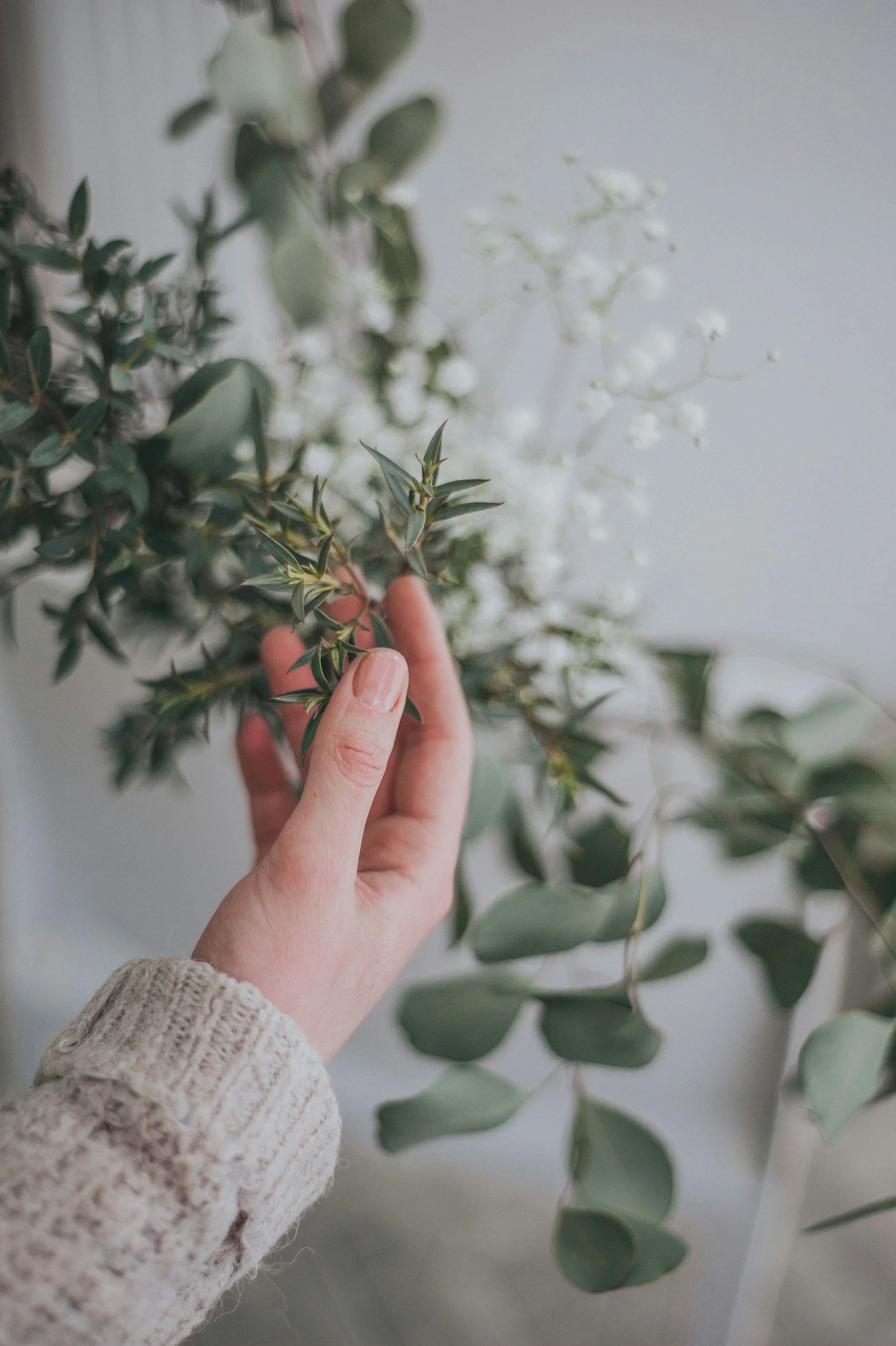 A hand holding a branch of greenery with small leaves and white flowers, against a soft blurred background.