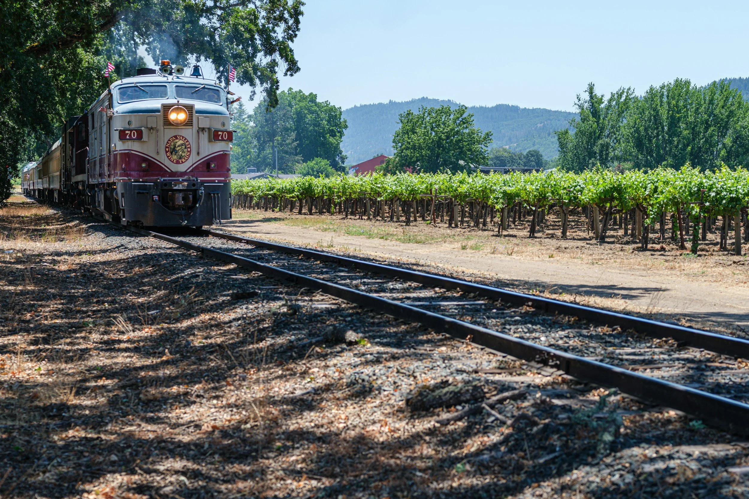 Napa valley wine train going through vineyards