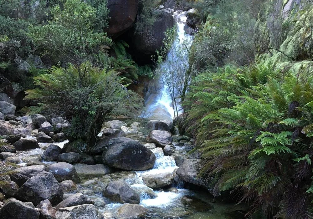 Looking for the Perfect Wedding Photo