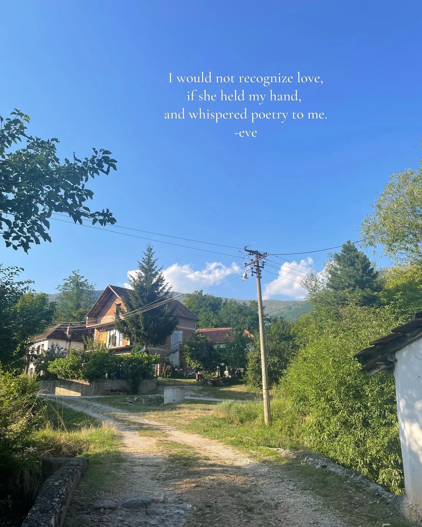 My favourite poems are the sad ones 

#poetry #poet #poem #writer #selfpublish