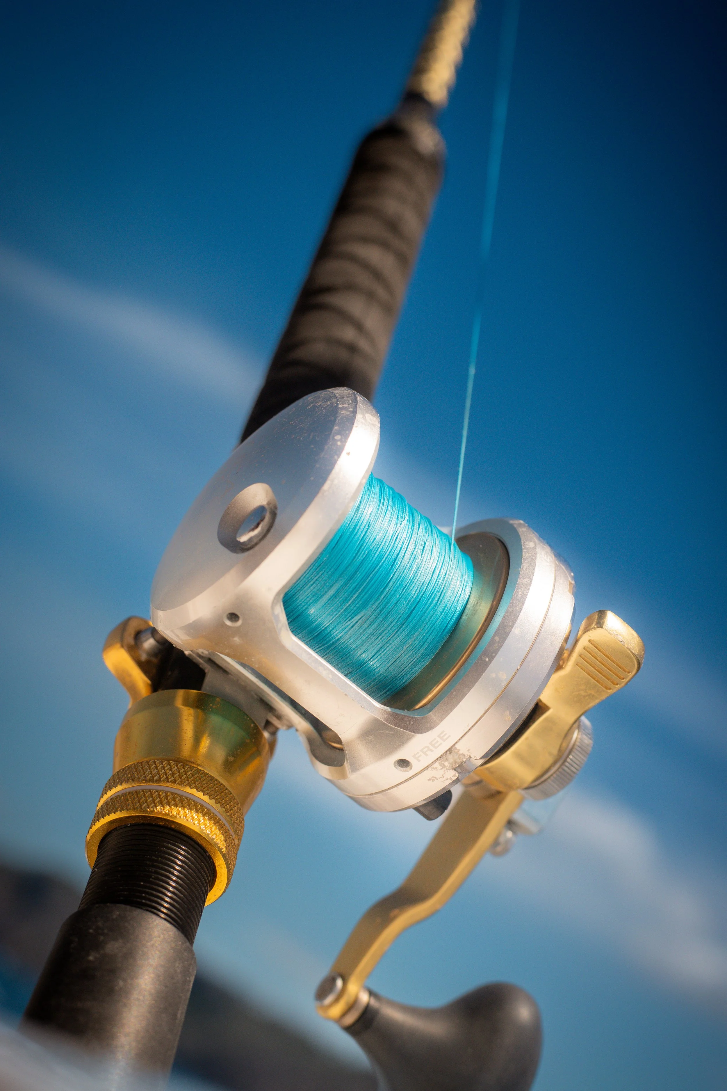 Deep Sea Fishing