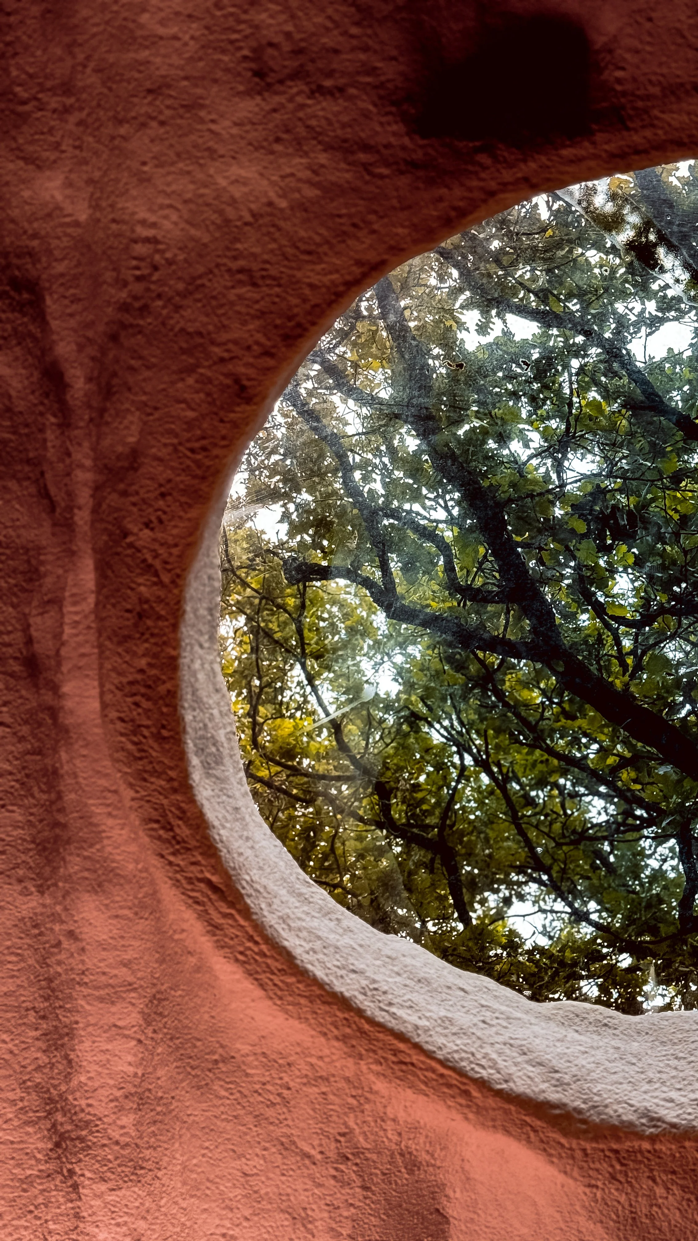 Looking through a circular opening in a brick wall at tree branches and green leaves outside.