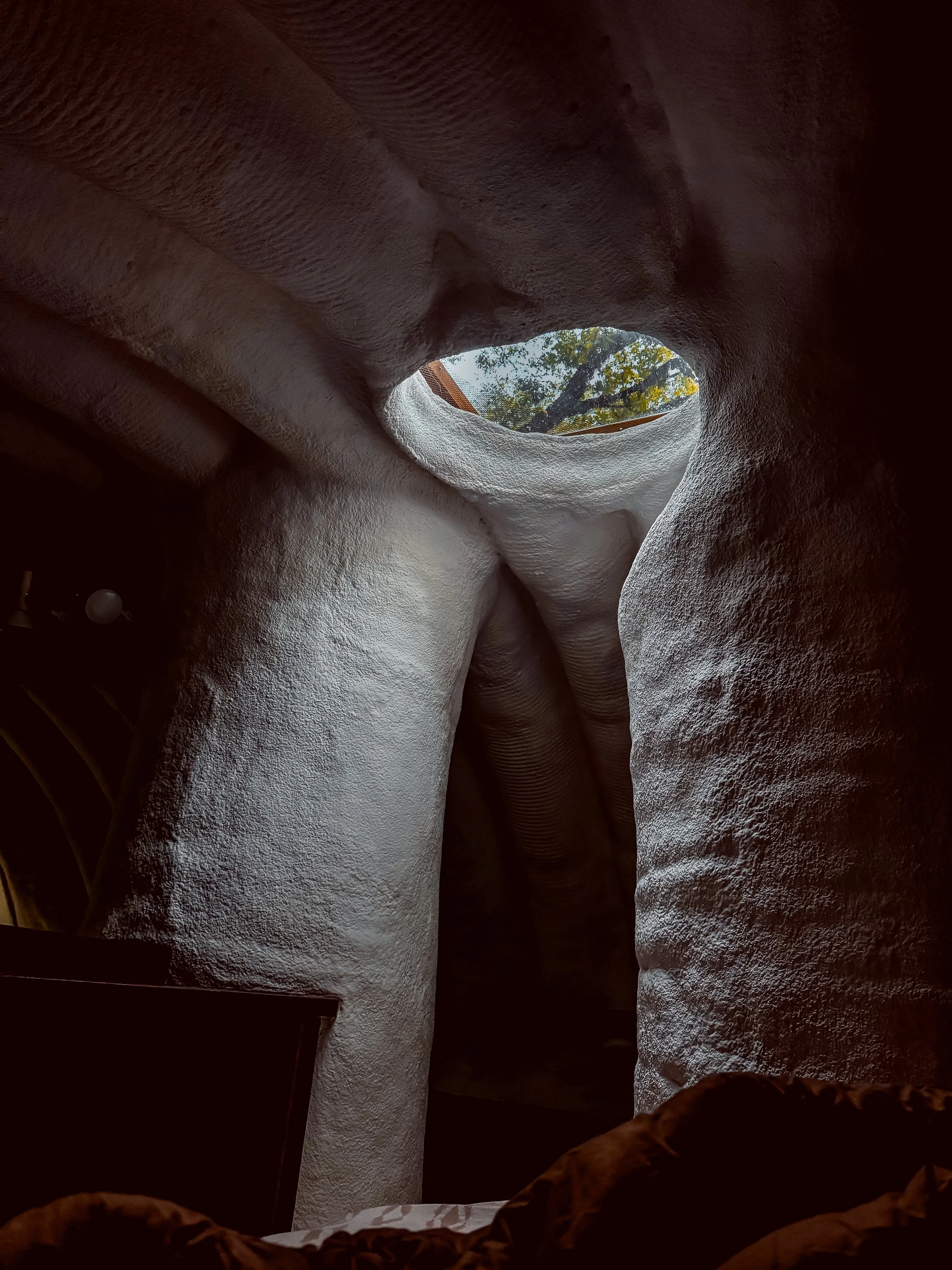 Looking up through a hole in a textured, cave-like ceiling at trees and blue sky outside.