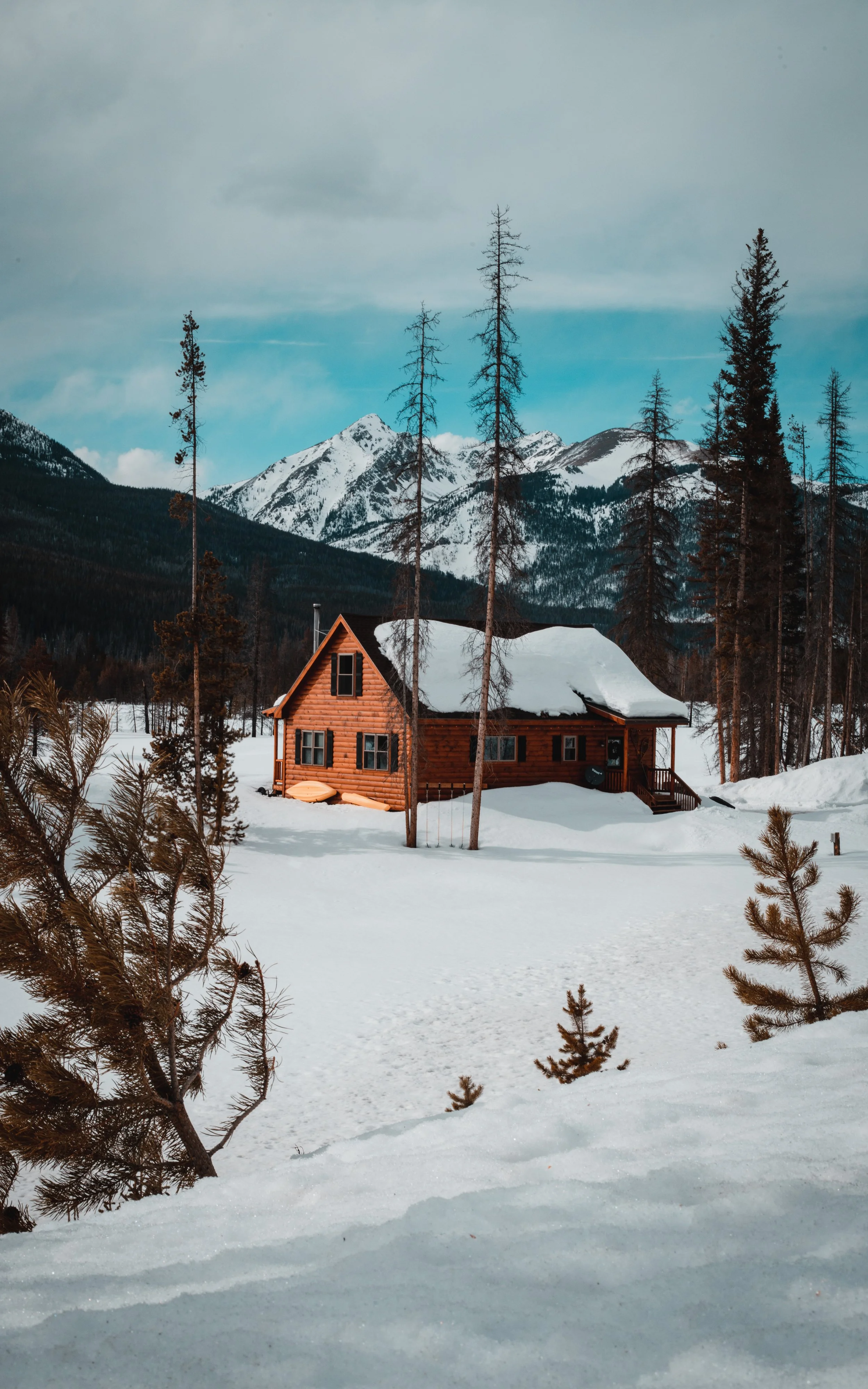 A wooden cabin in a snowy landscape with tall, sparse trees, snow-covered mountains in the background, under a mostly cloudy sky.