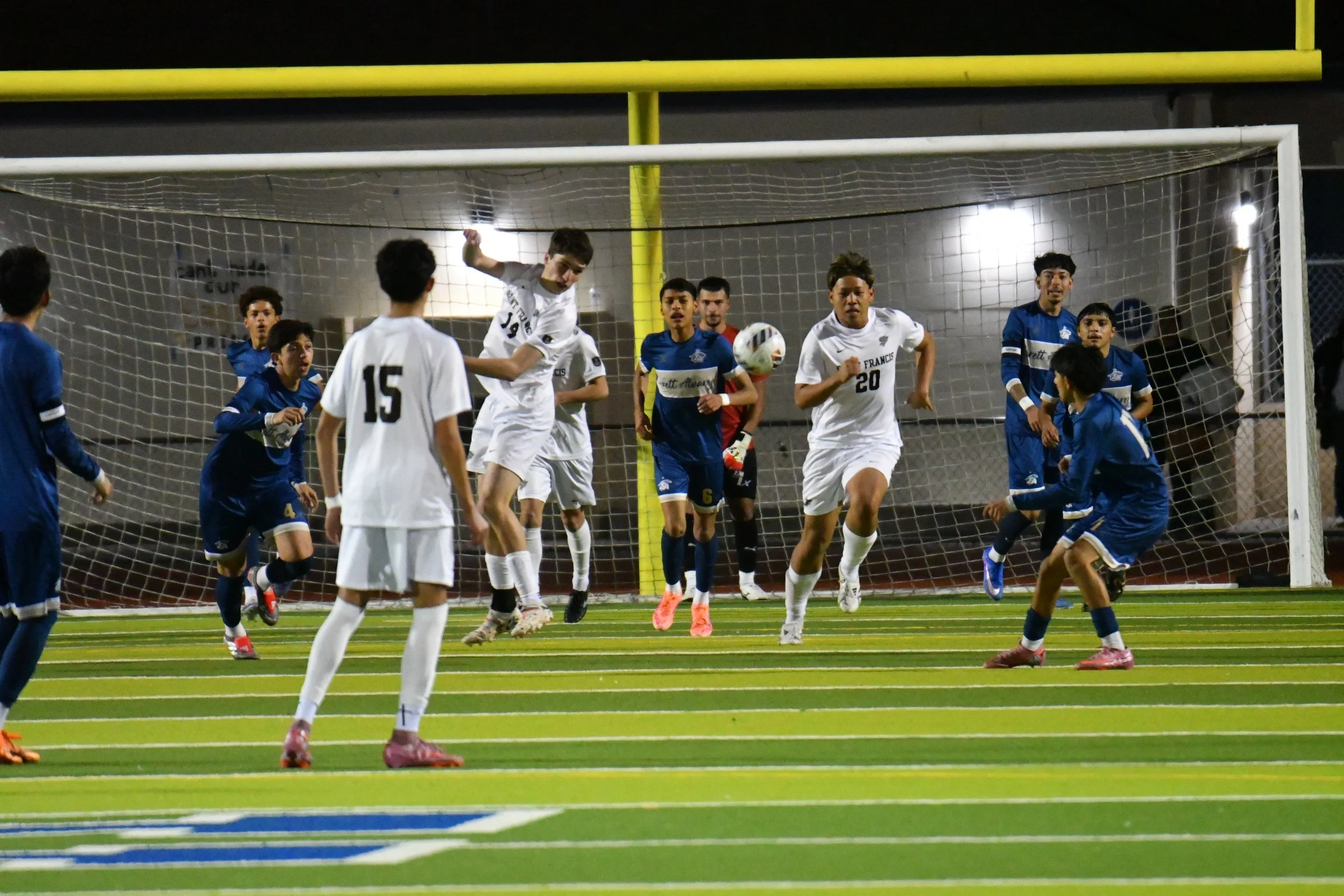 Losing Mako to Xylitol and Why I’m Speaking Up