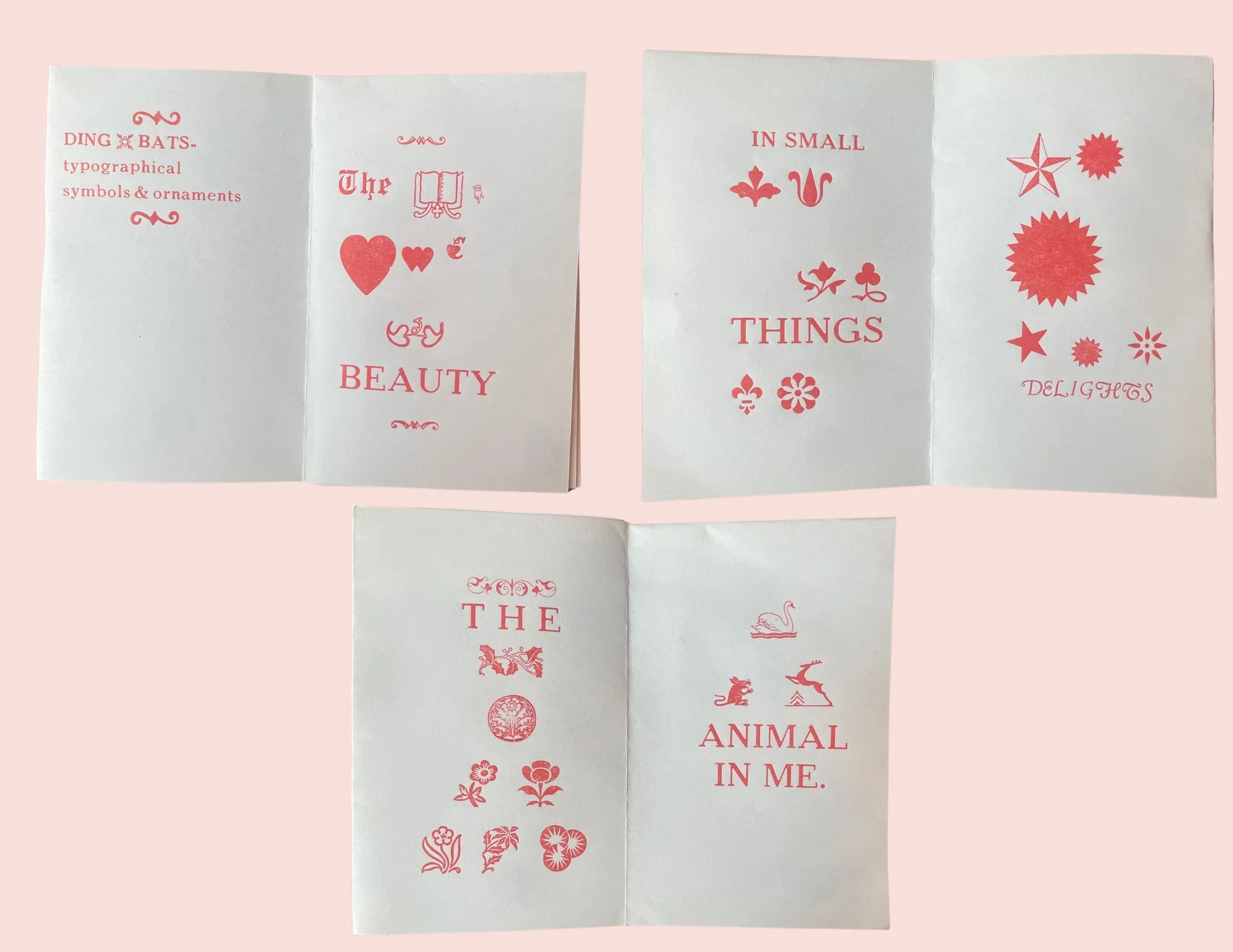 Dingbats interiors 2025