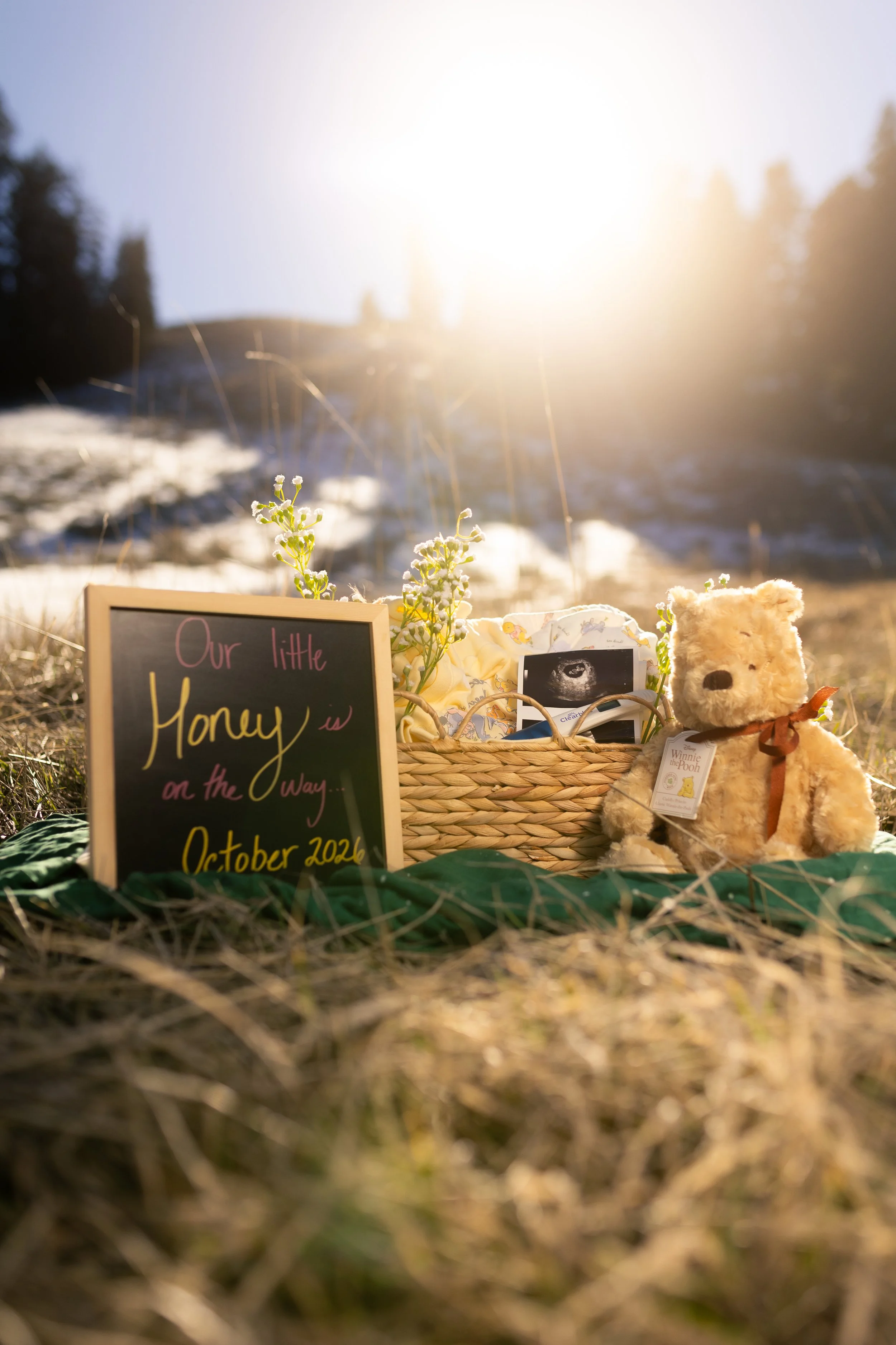 Pregnancy Announcement-03.jpg