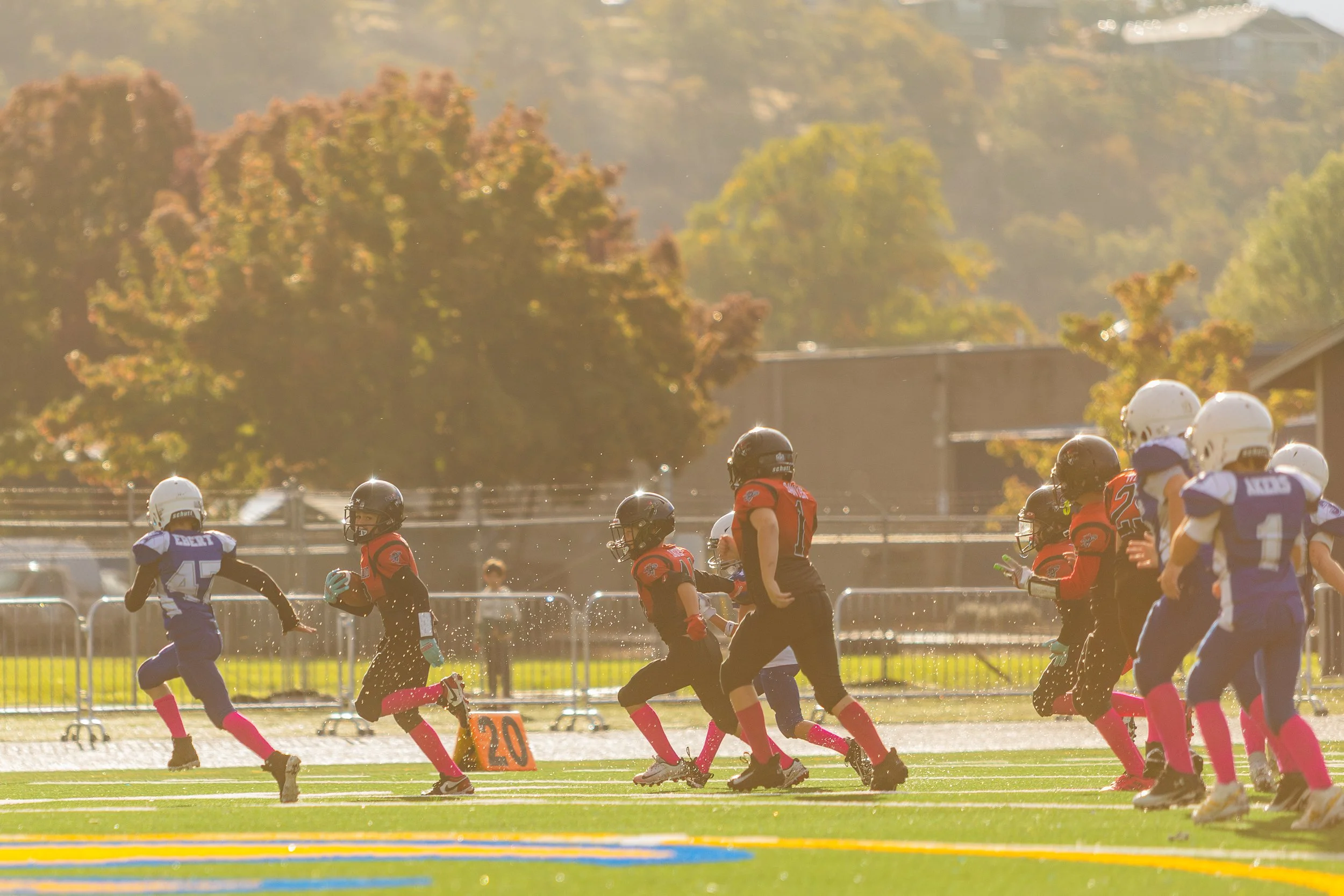 Youth football game with players in red and purple jerseys on the field under sunlight, with trees in the background.