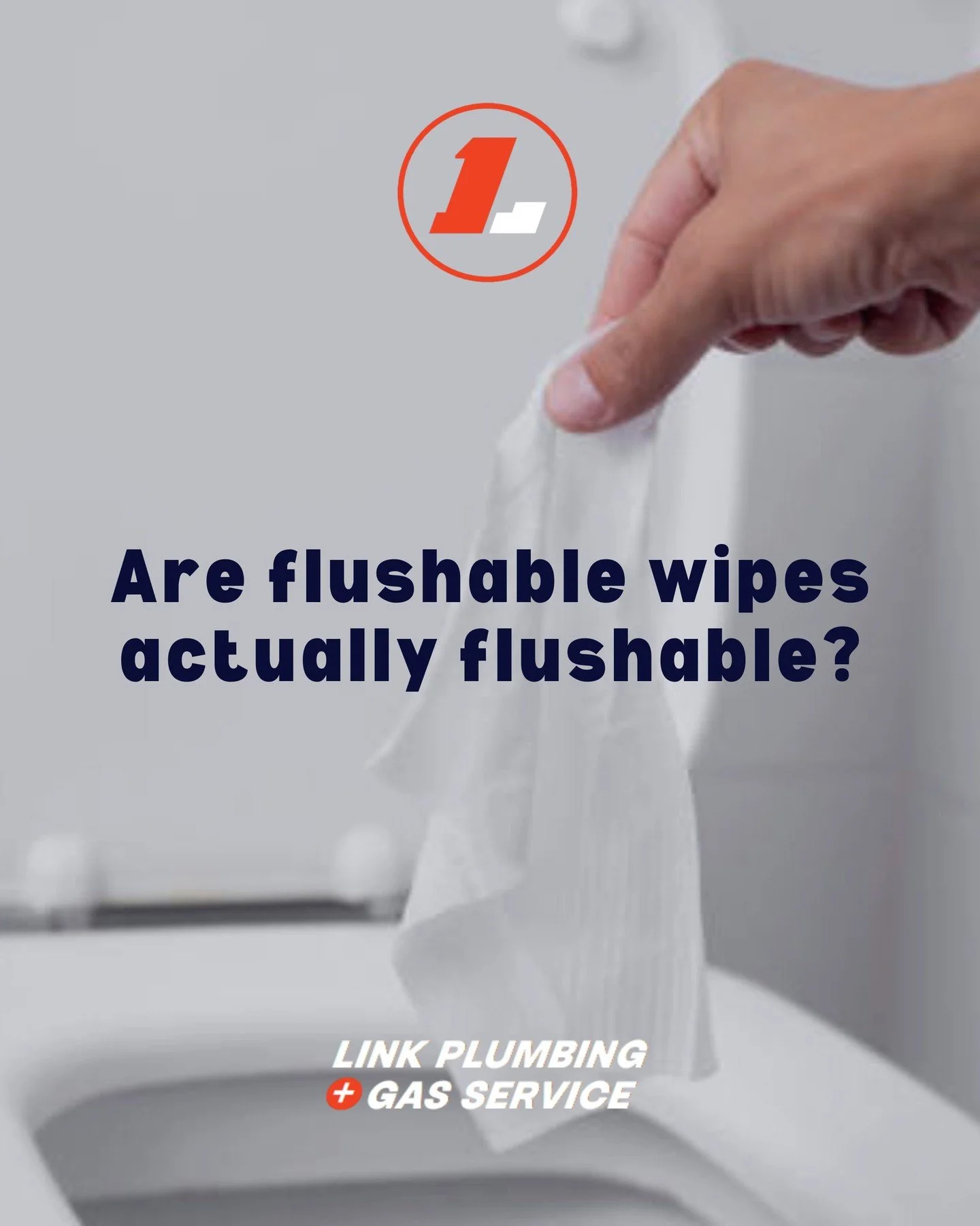 Short answer: Not really. 💩

Even though the label says flushable, these wipes don&rsquo;t break down like toilet paper &mdash; and they&rsquo;re a major cause of blockages in pipes and sewers.

💸 What seems convenient now could cost you big later.