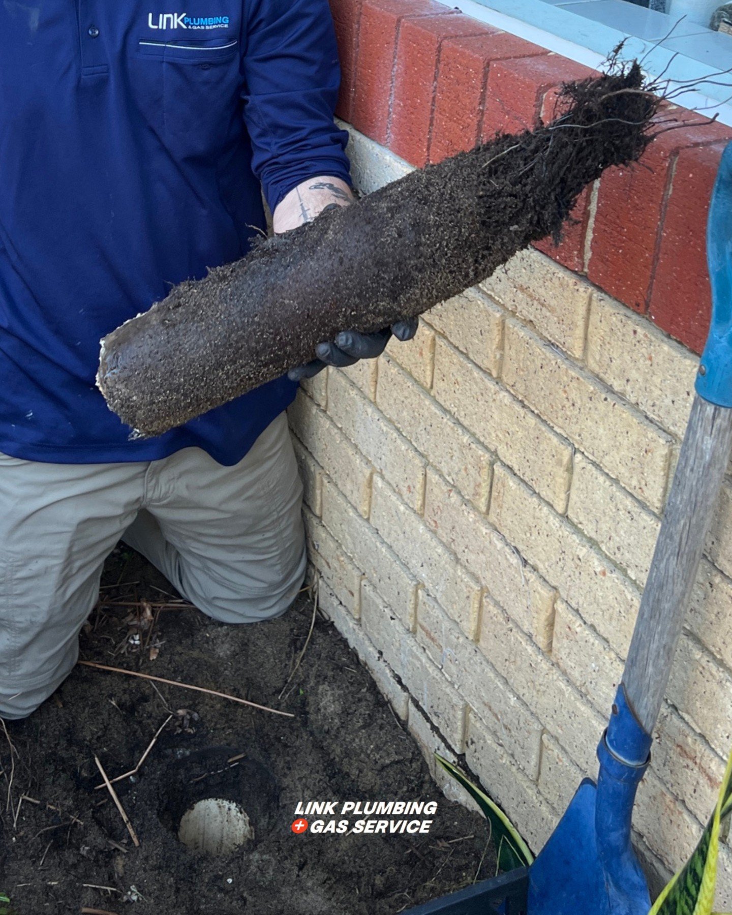 Another day, another problem pulled out by the roots 🌳

Tree roots in drains are one of the most common causes of blockages. They&rsquo;re drawn to moisture, find tiny cracks, and slowly take over &mdash; until this happens.

Have a blocked drain? g