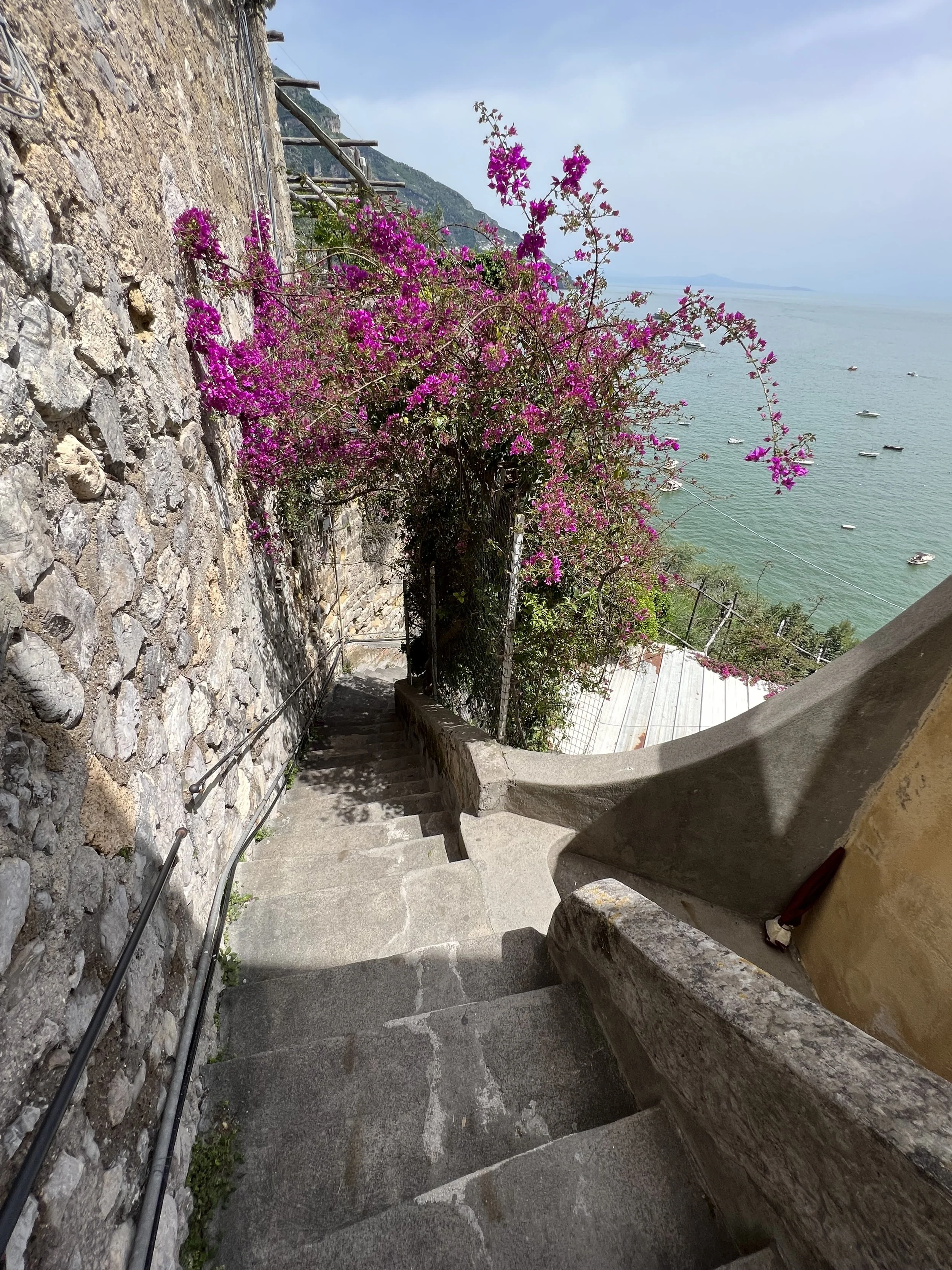 IMG_3383.jpeg