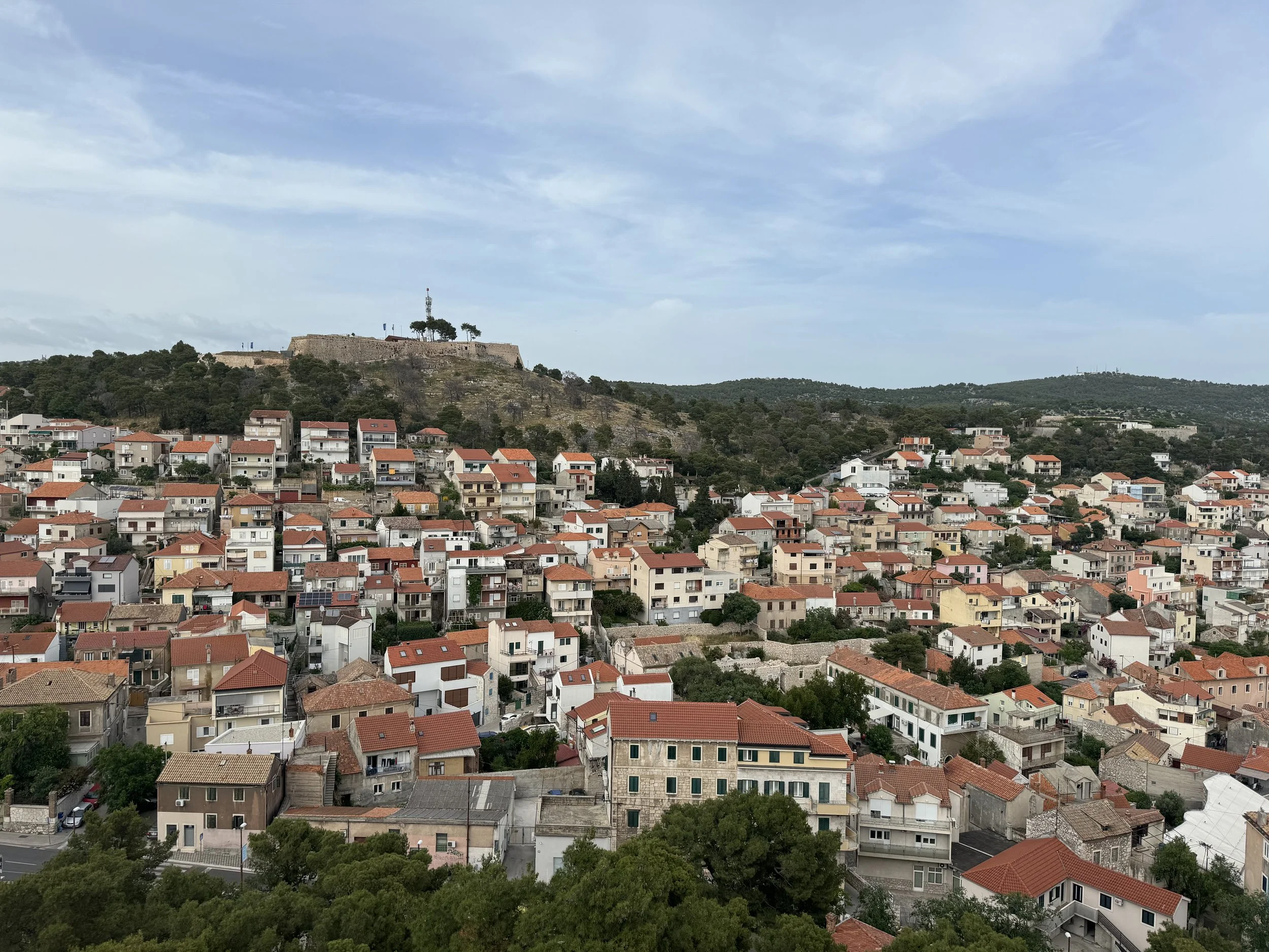 IMG_2042.jpeg