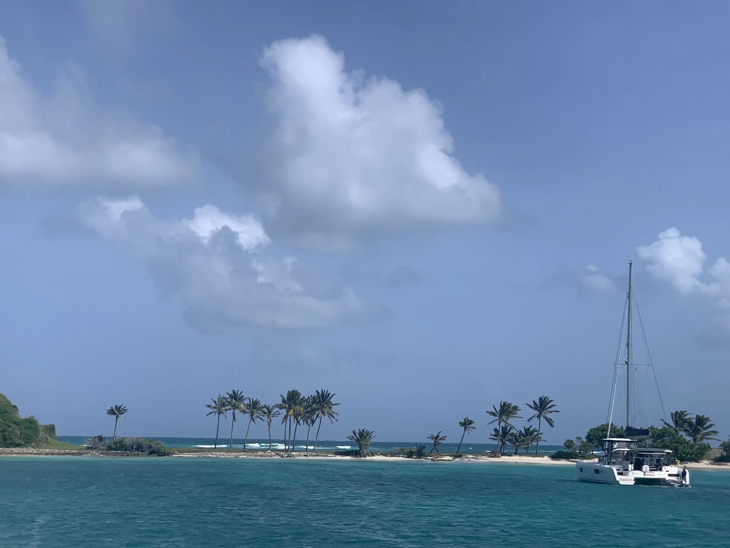 IMG_1821.jpeg