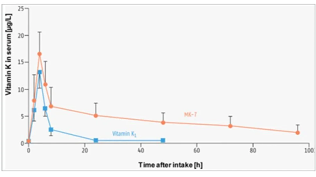 Persistence of vitamin K2 (MK-7) in blood serum compared to K1.