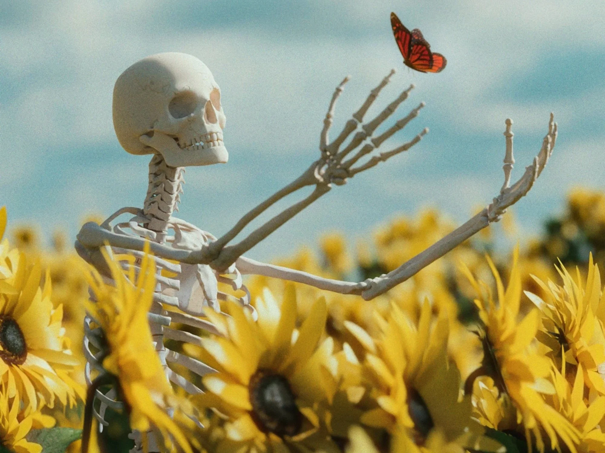 Strong Bones for Life