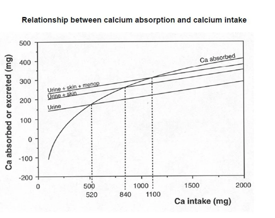 Relative absorption reflecting the mix between active at low intakes and passive at high intakes.
