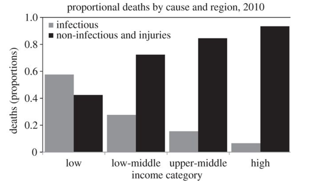Infectious disease versus lifestyle disease -  changes according to degree of development