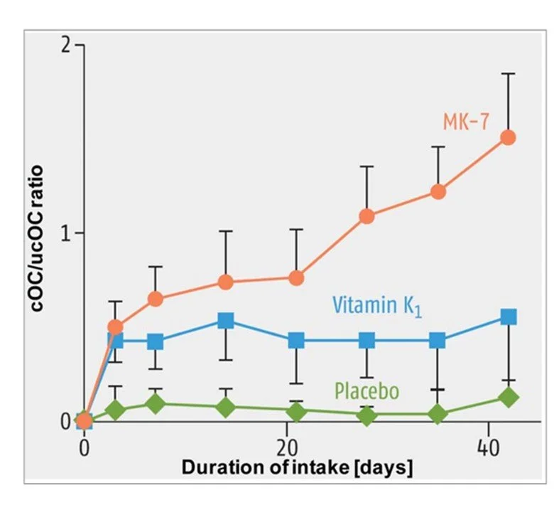 The relative ability of vitamin K1 and MK-7 to carboxylate osteocalcin.