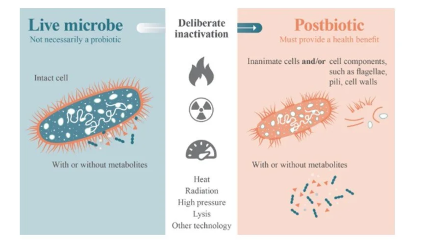 Postbiotics definitely contain cells of parts thereof, while metabolites are optional.